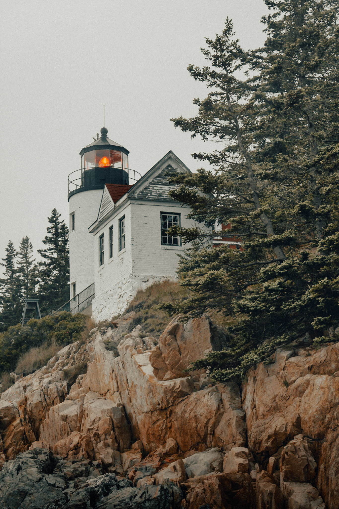 Where the Light Is