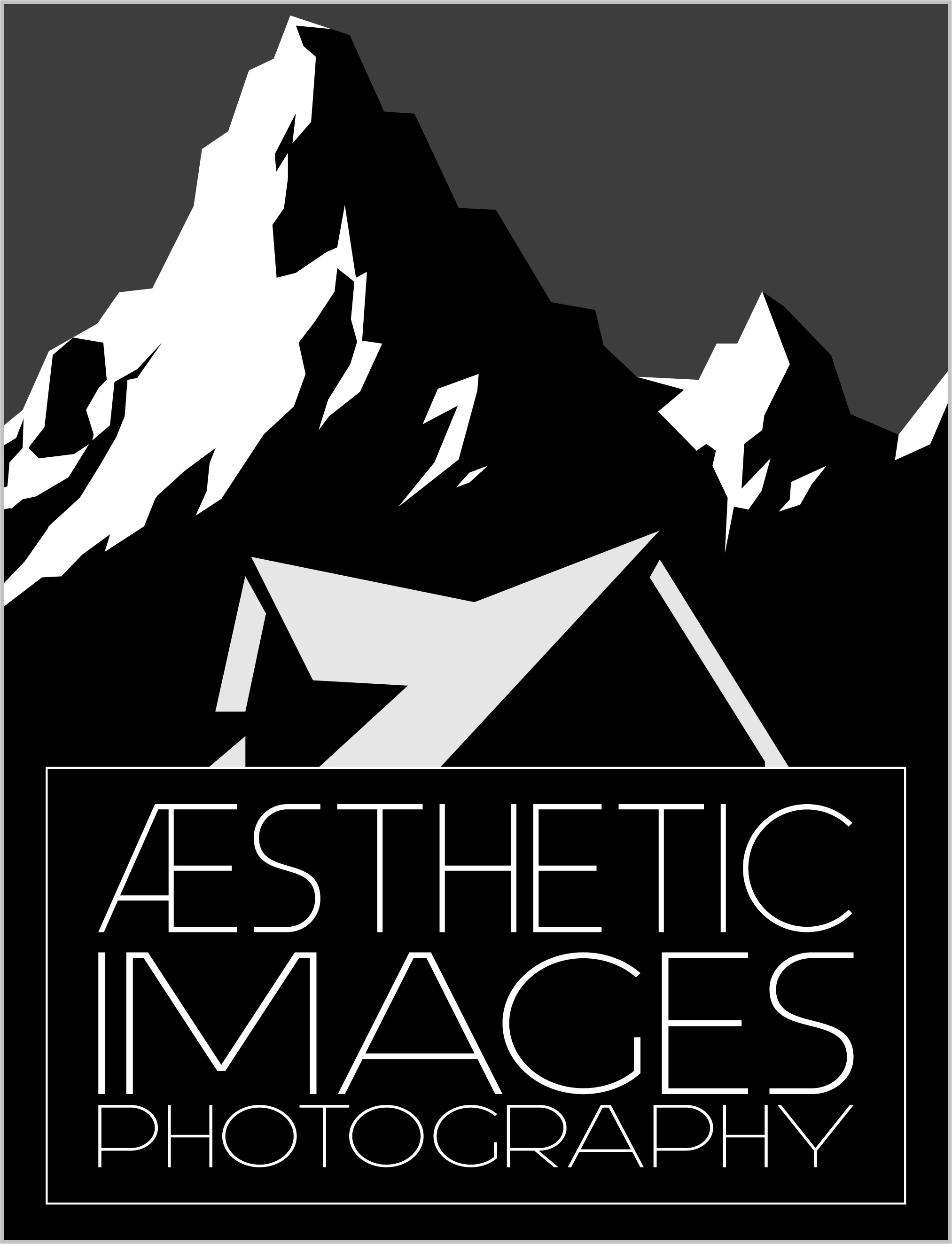 aesthetic images photography gull