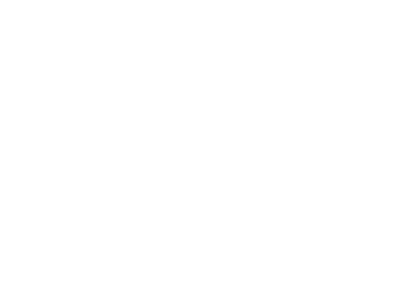 Stéfano Ferreira Fotografia