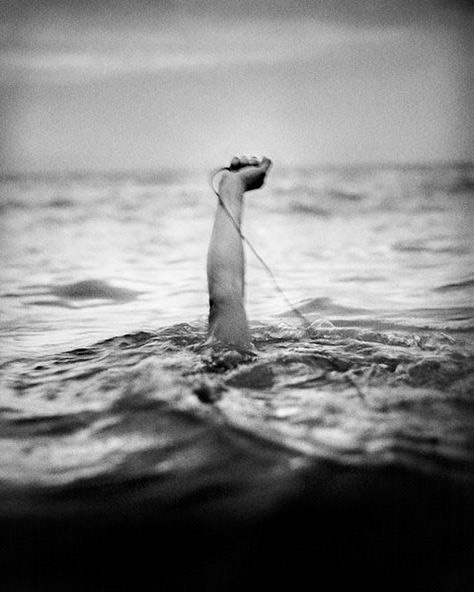 Stephan Vanfleteren