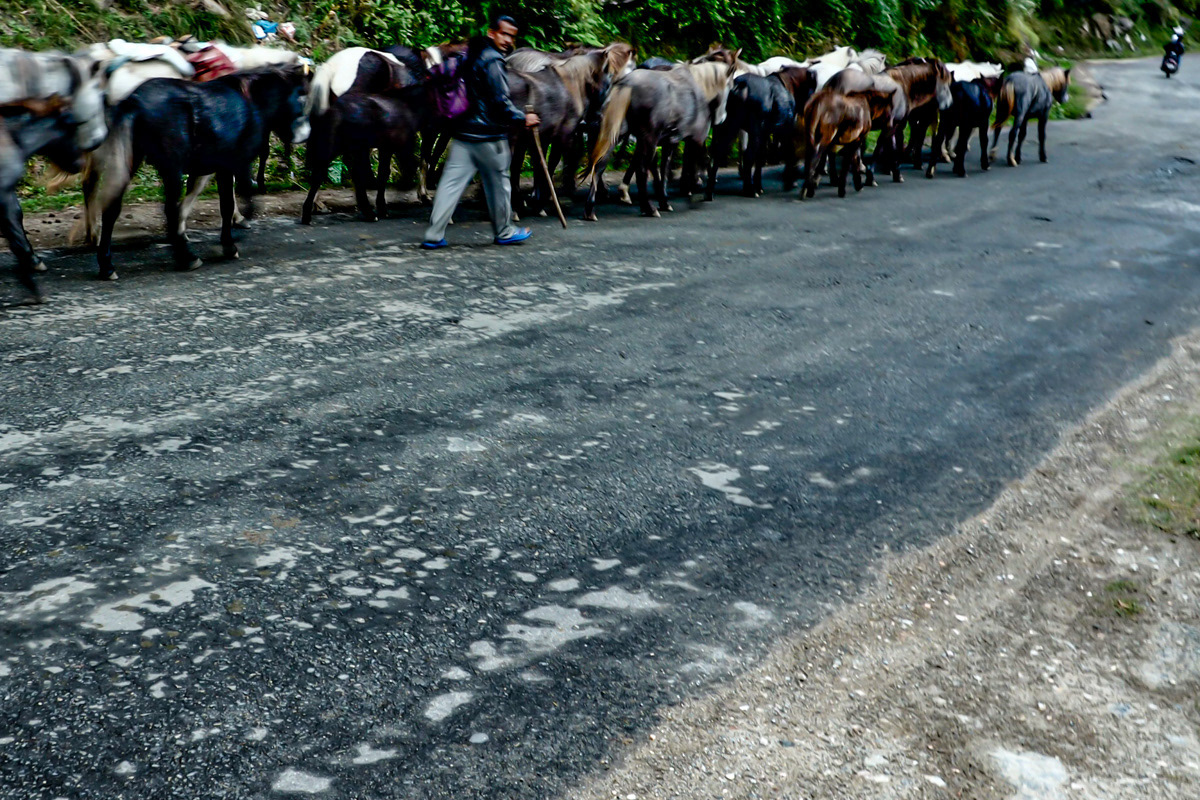 Himachal Pradesh, Kulu Manali region
