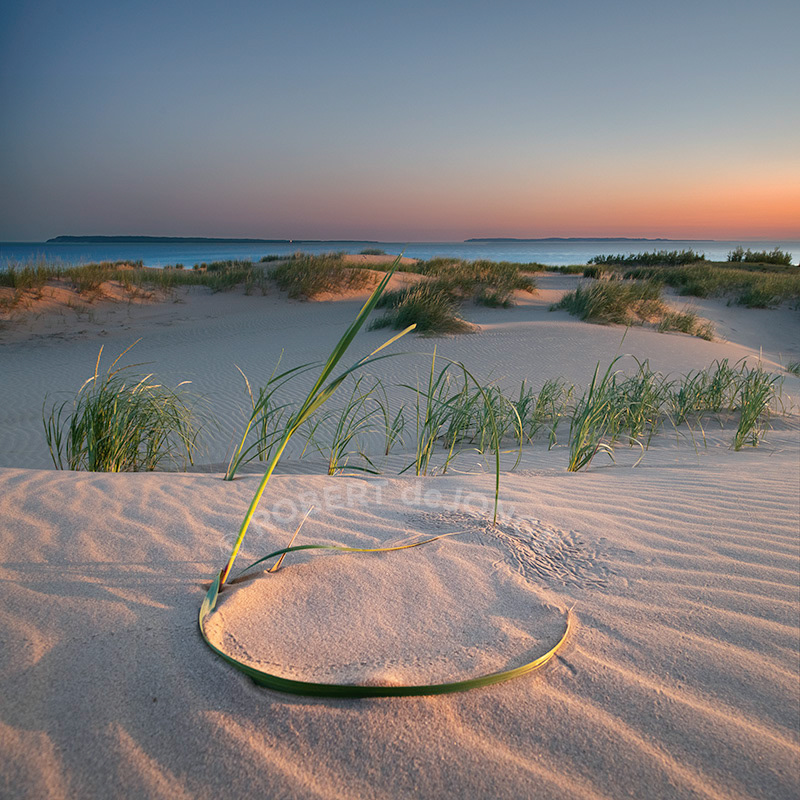 The foreground shows a blade of grass curled in the sand and another blade etching marks in the sand. The Background is the Manitou Islands at dawn