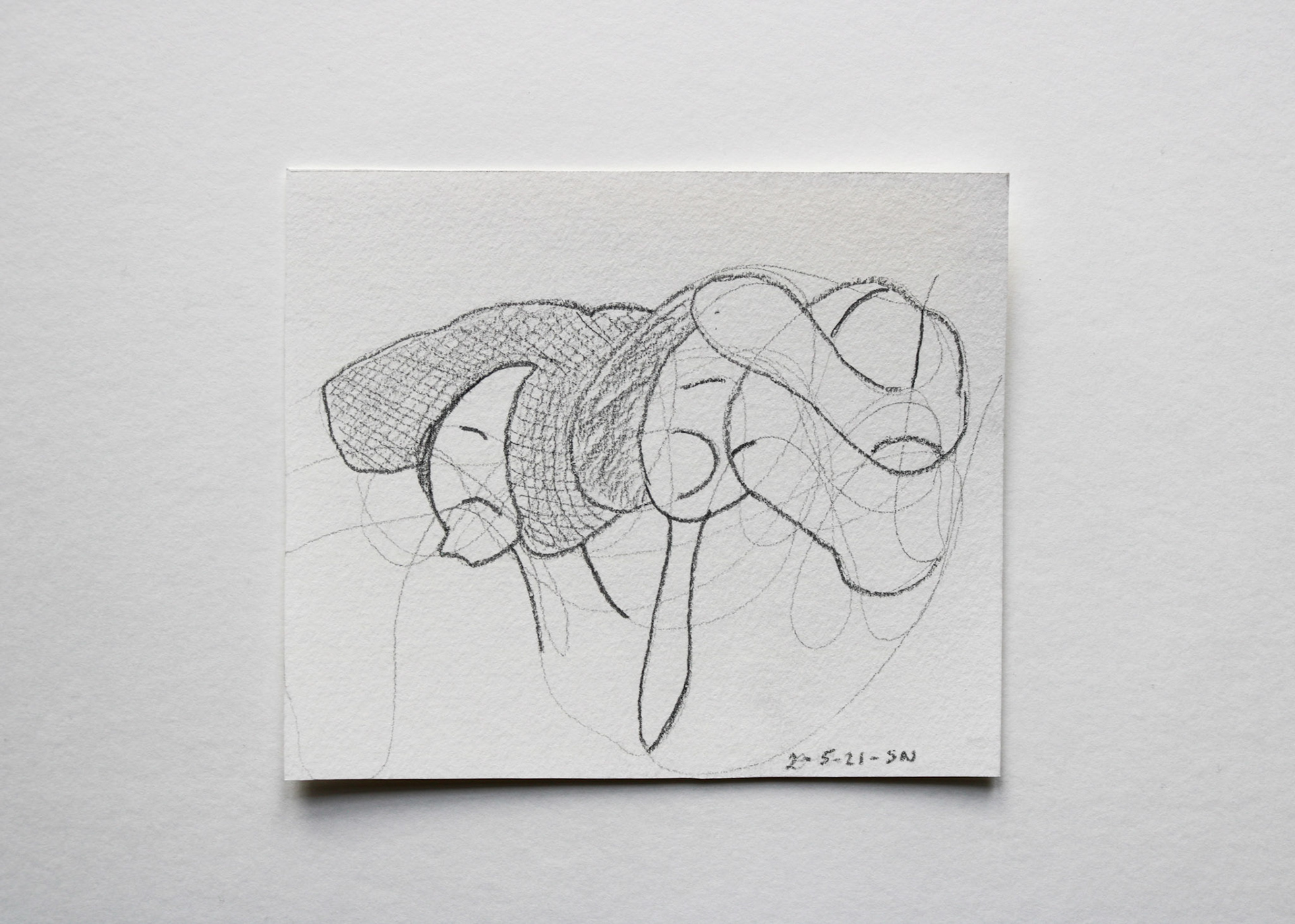 Charcoal on White Card Stock / 7 x 6 in / $60