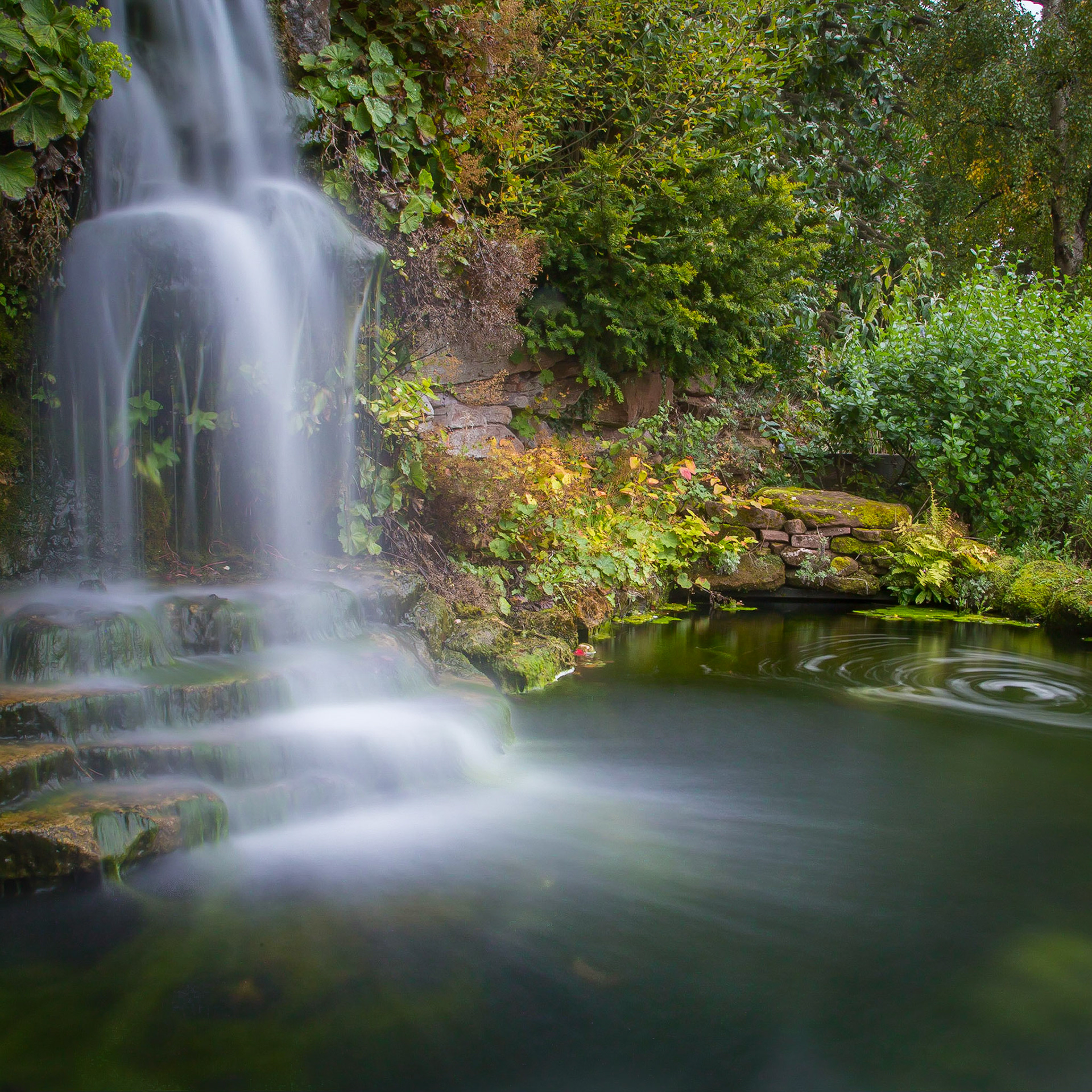 Ness Gardens in Autumn