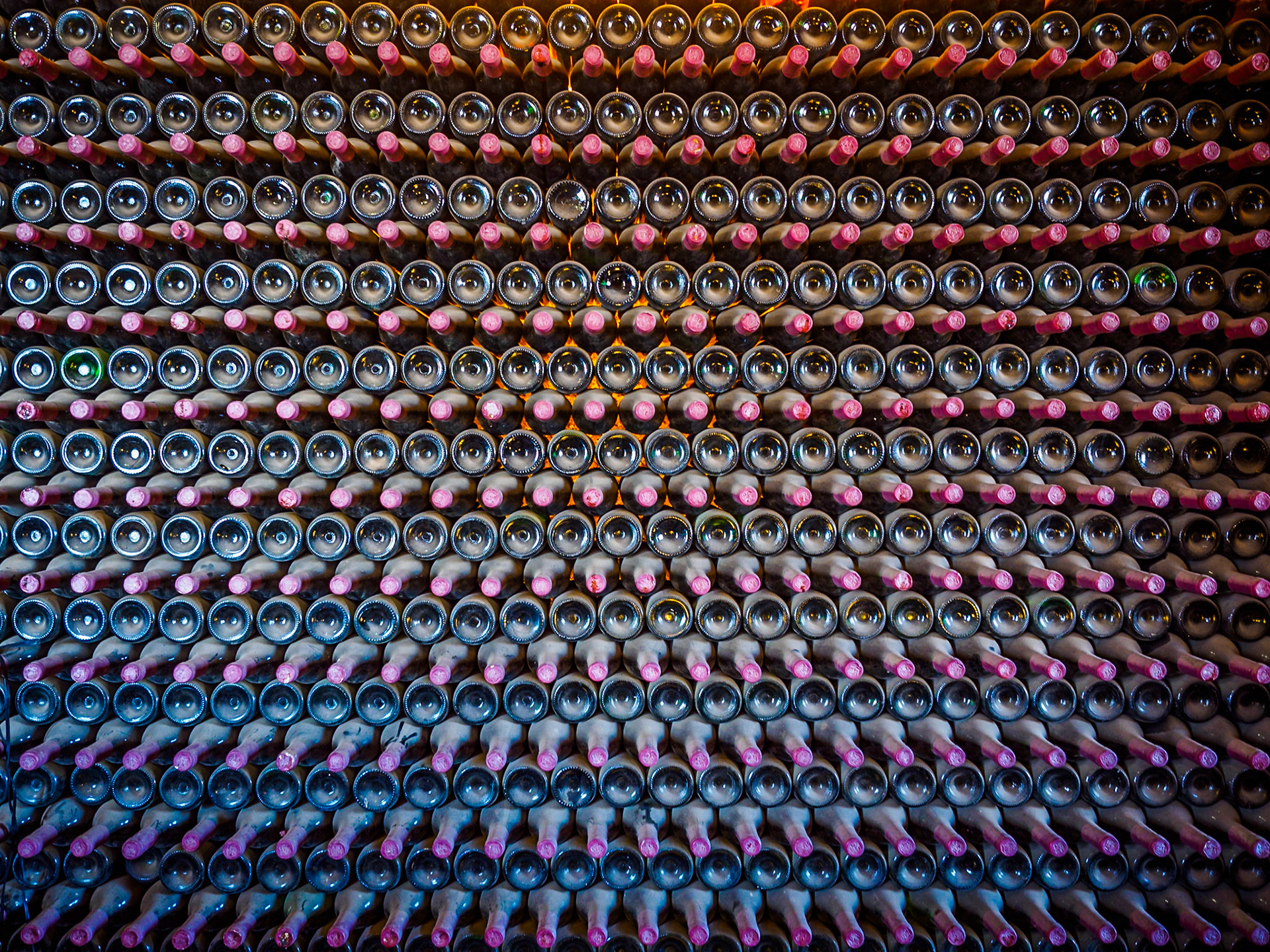 Bodegas Rubicón  - Flaschenwand