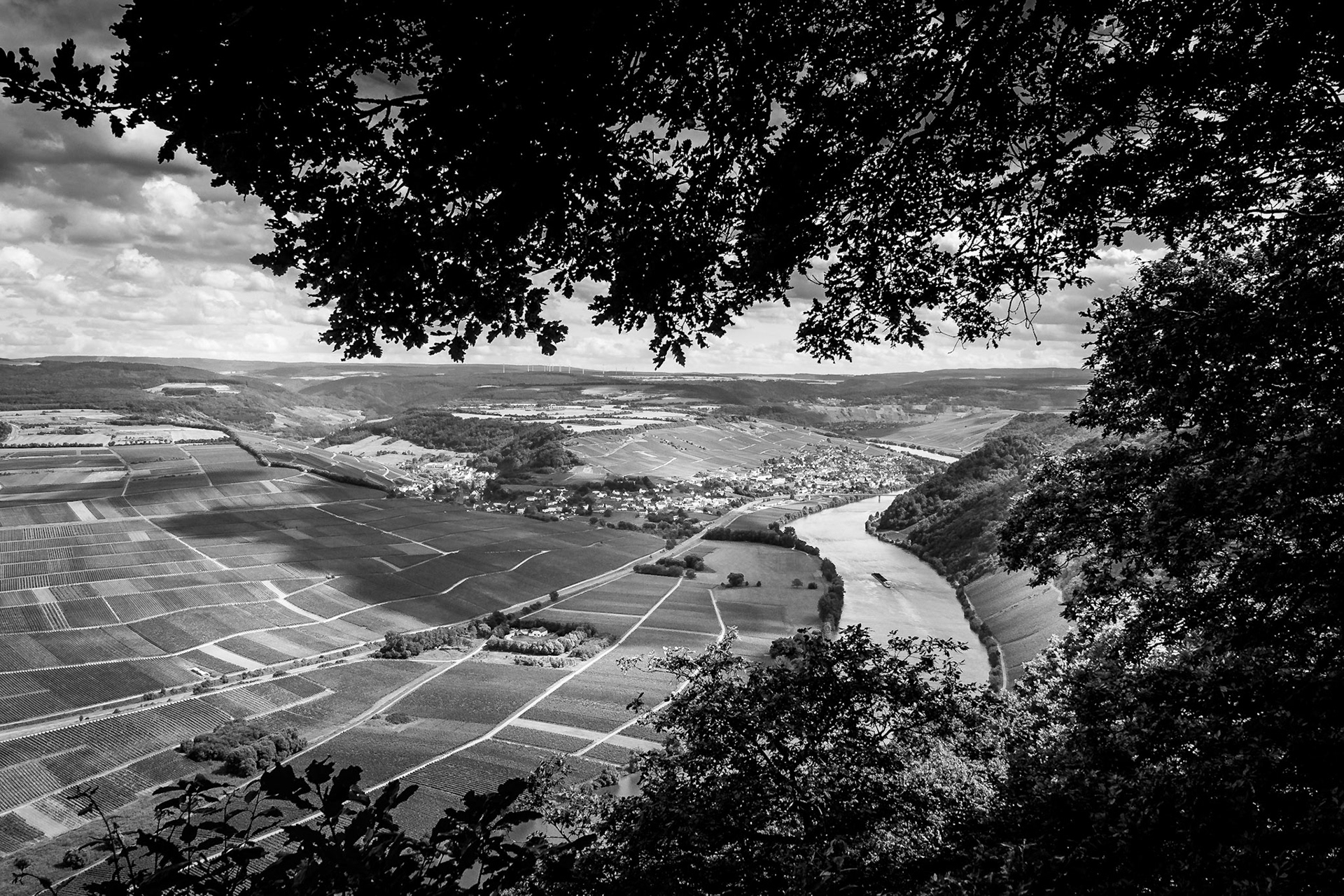 Blick auf die Mosel bei Piesport