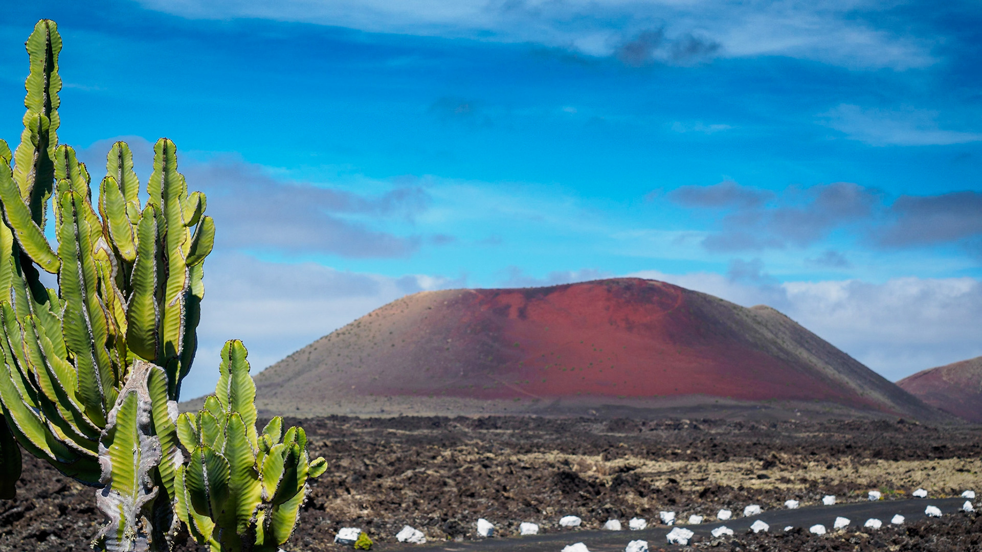 Kakteen und ein roter Vulkan