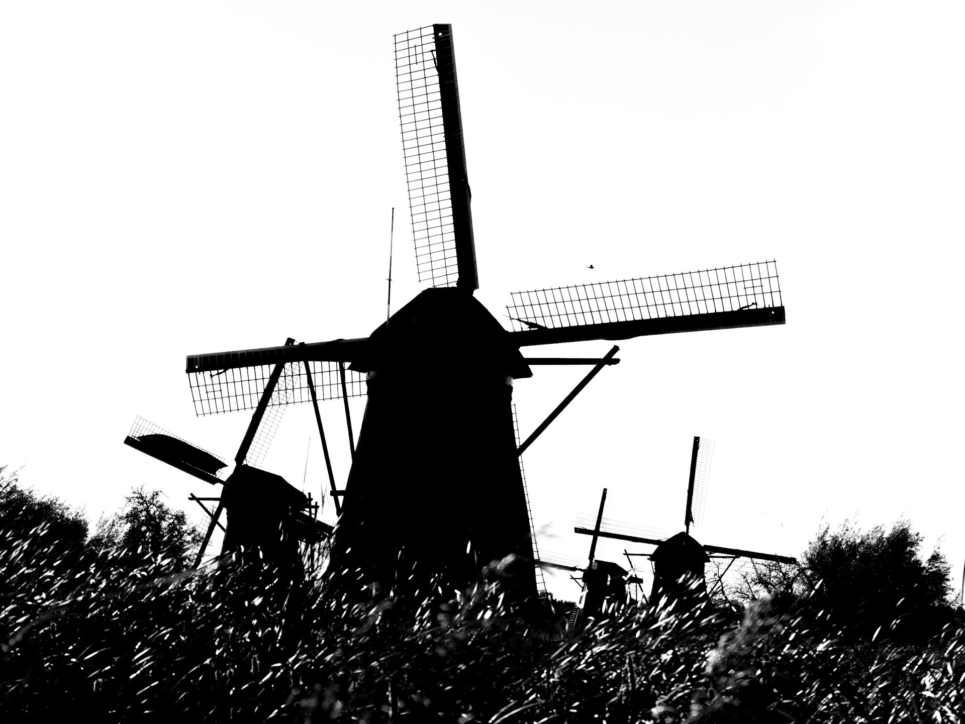 Die Windmühlen von Kinderdijk