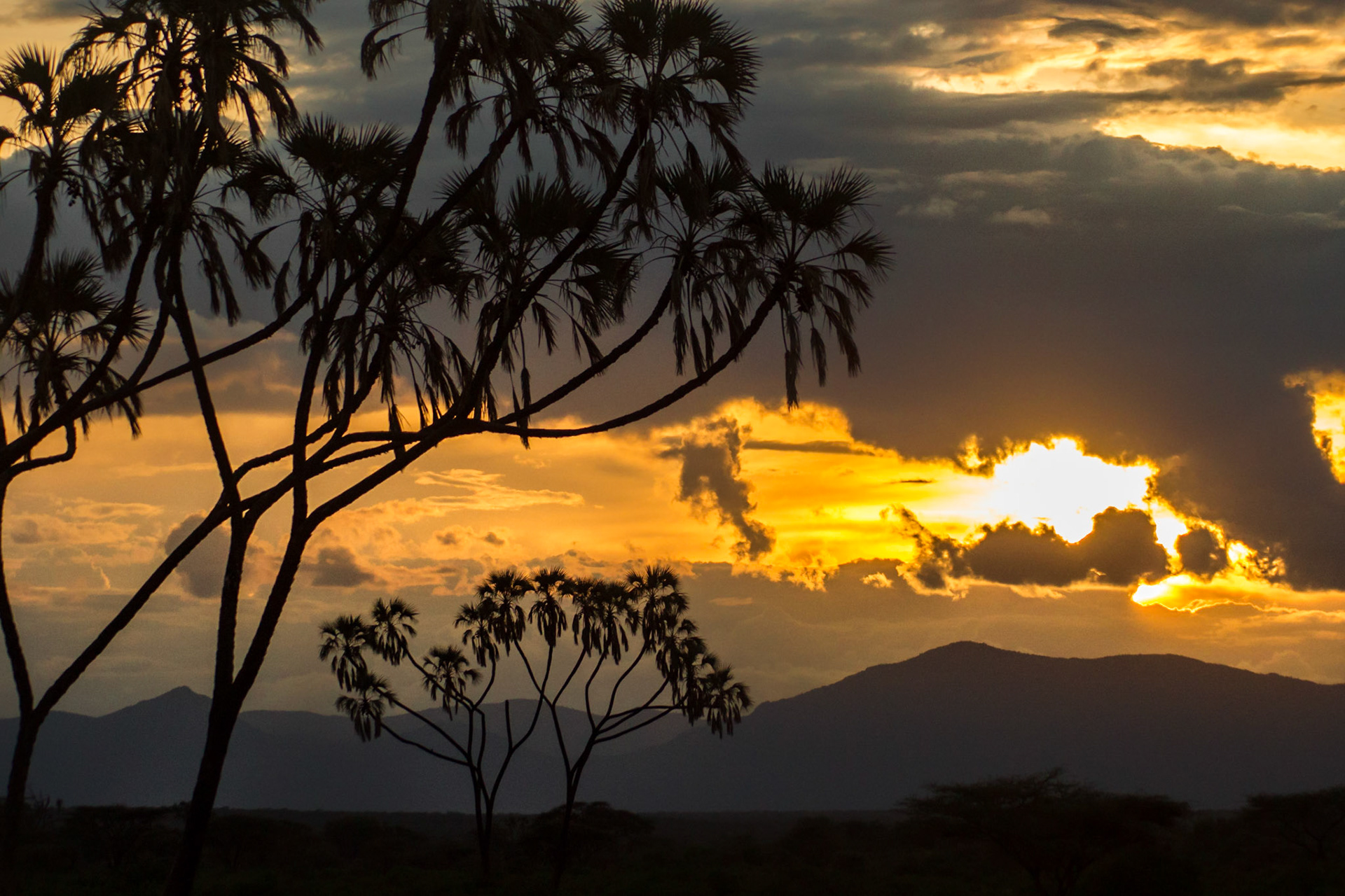 Sonnenuntergang im Samburu Nationalpark, Kenia
