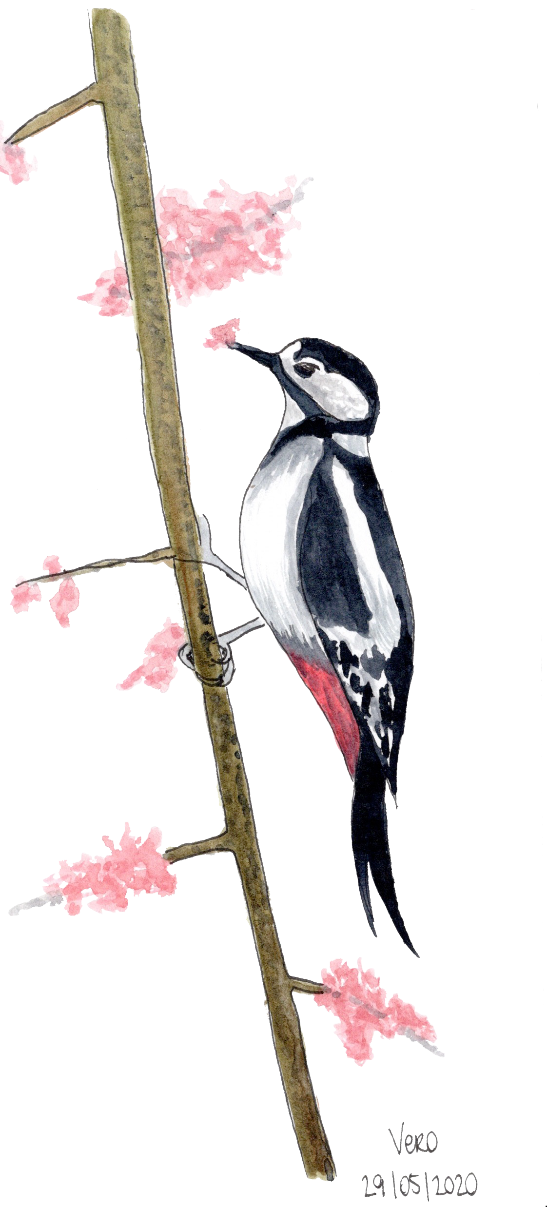 Little birdie #3