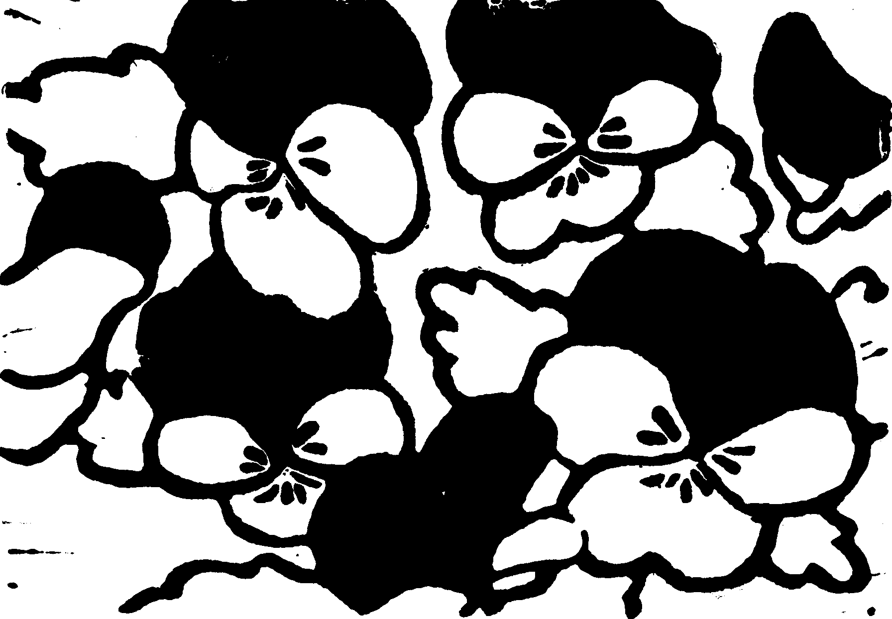 Black & white