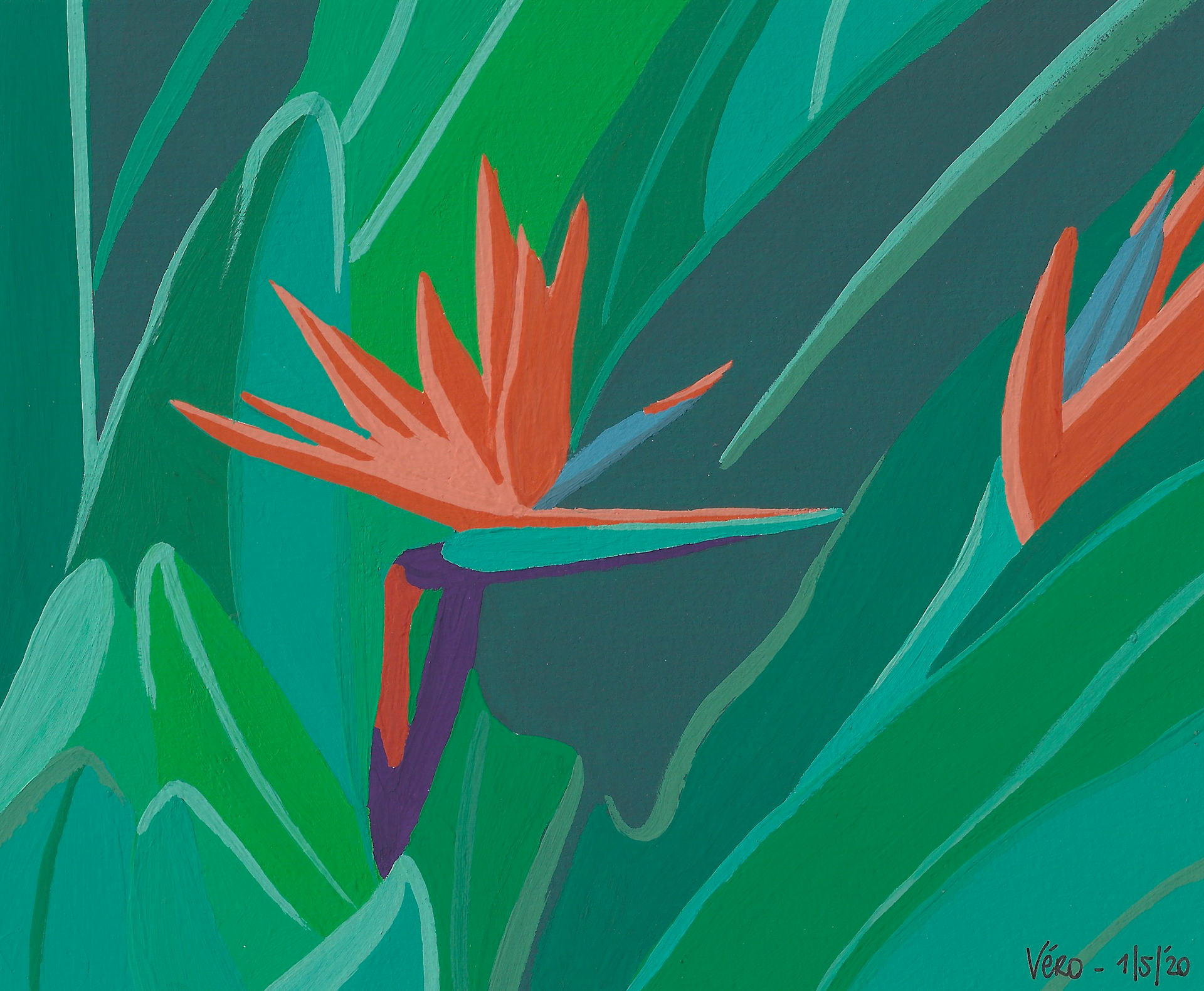 Paradijsvogelbloem