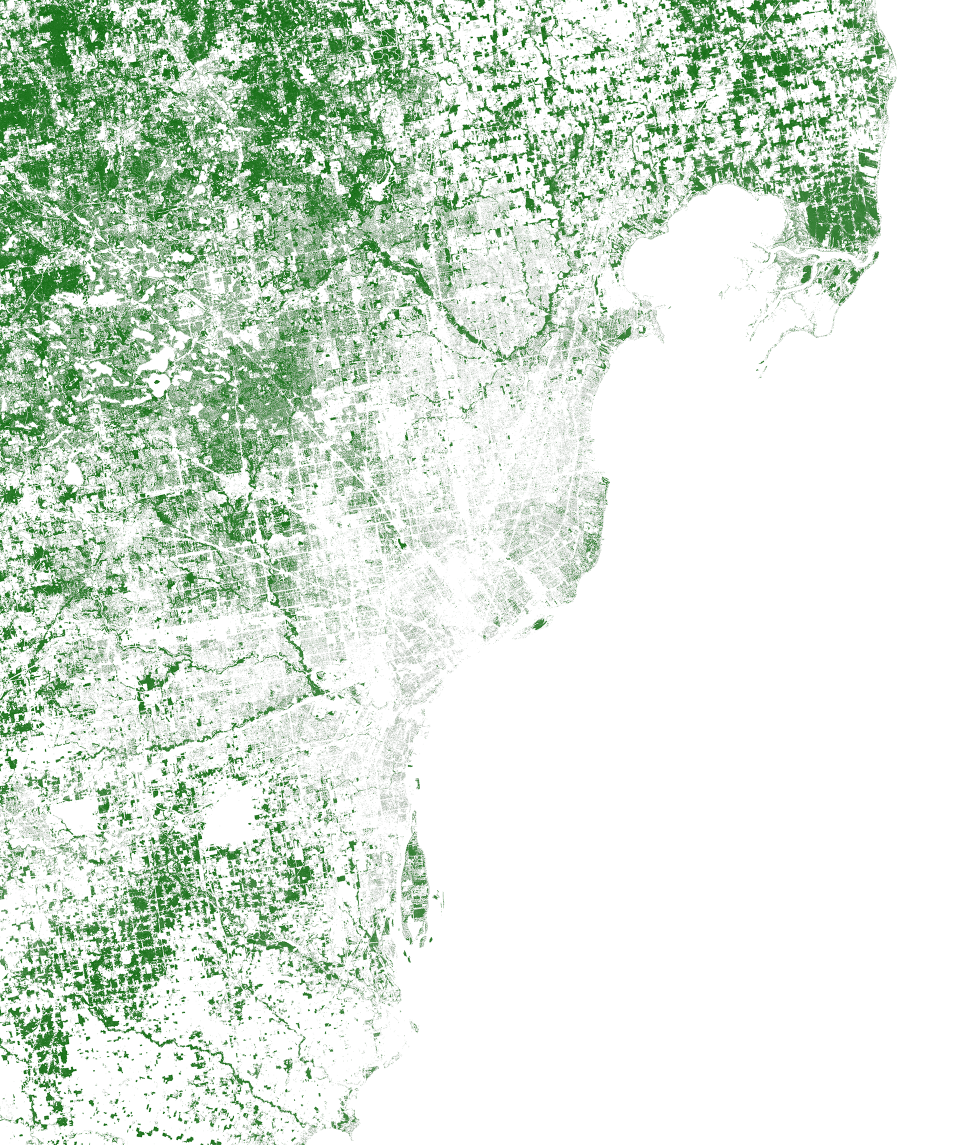 Tree Cover | Detroit, MI