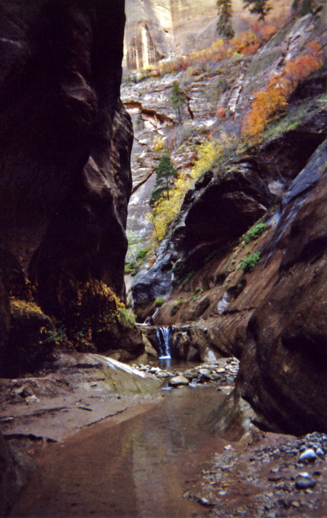The waterfall marks the end of a side trail we did