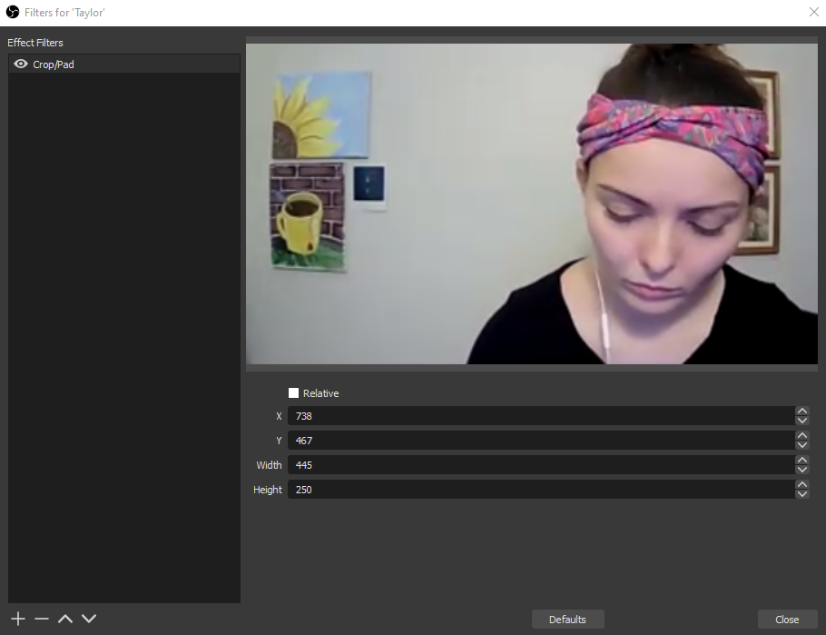 Cropped "Screen Display" Input