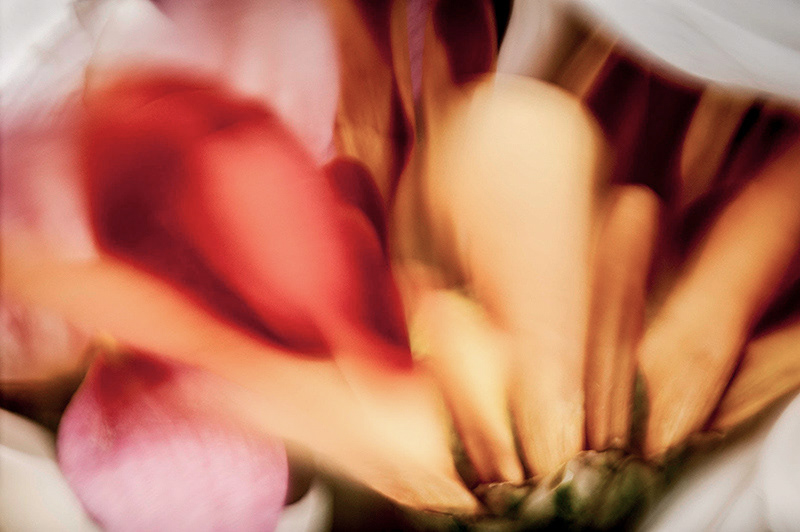 MACRO