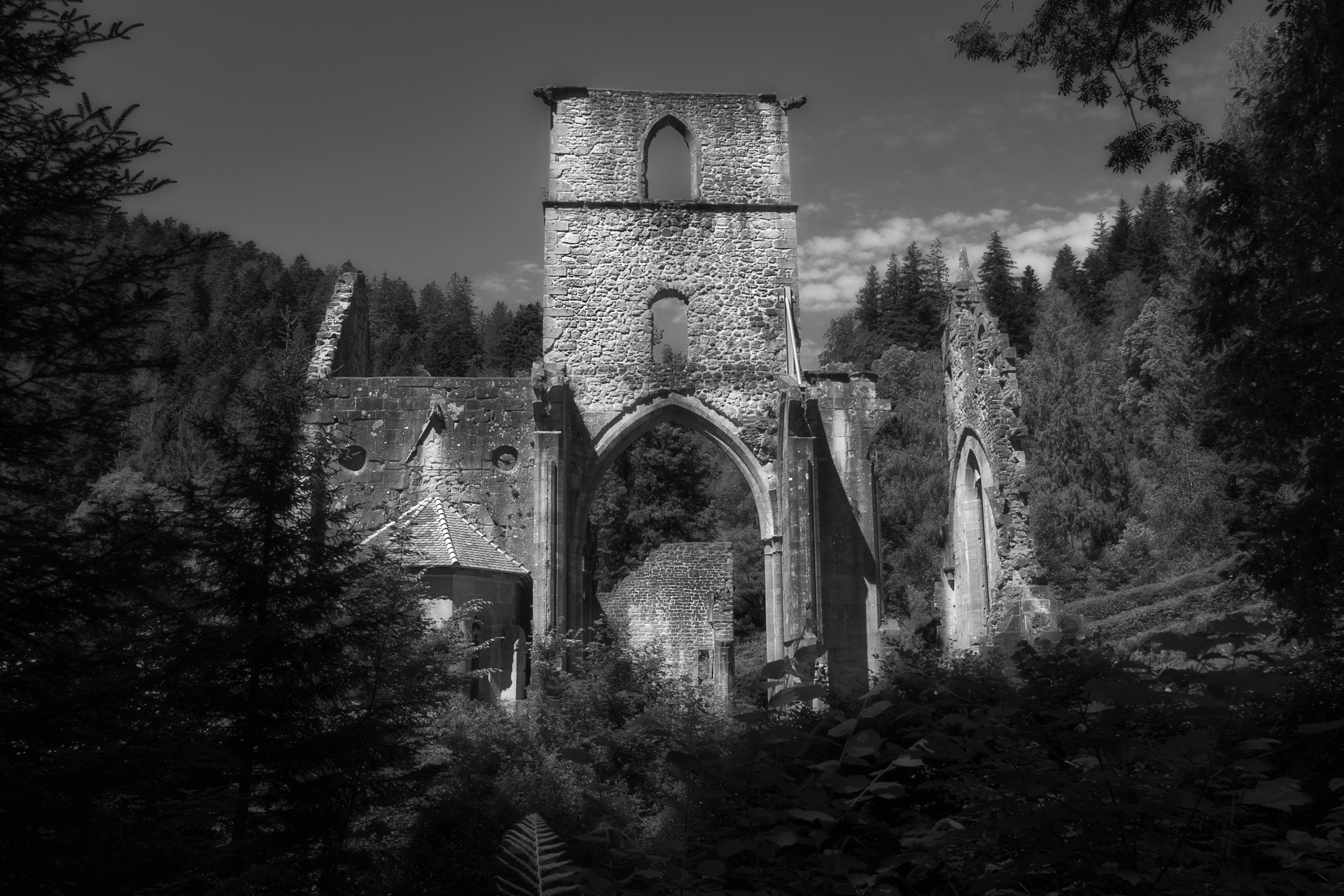All Saints Abby | 2020