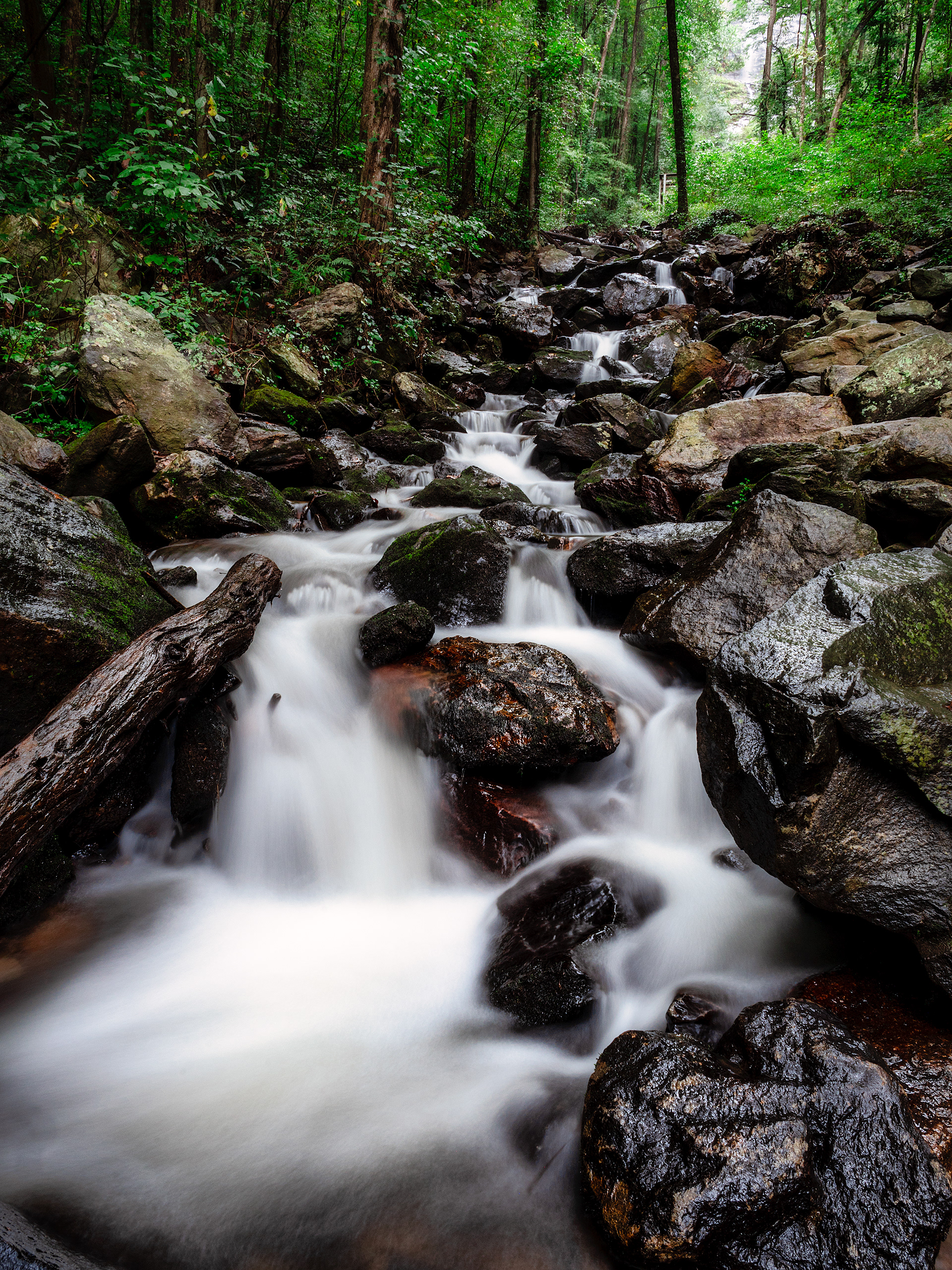 Stairway to Amicalola | 2018