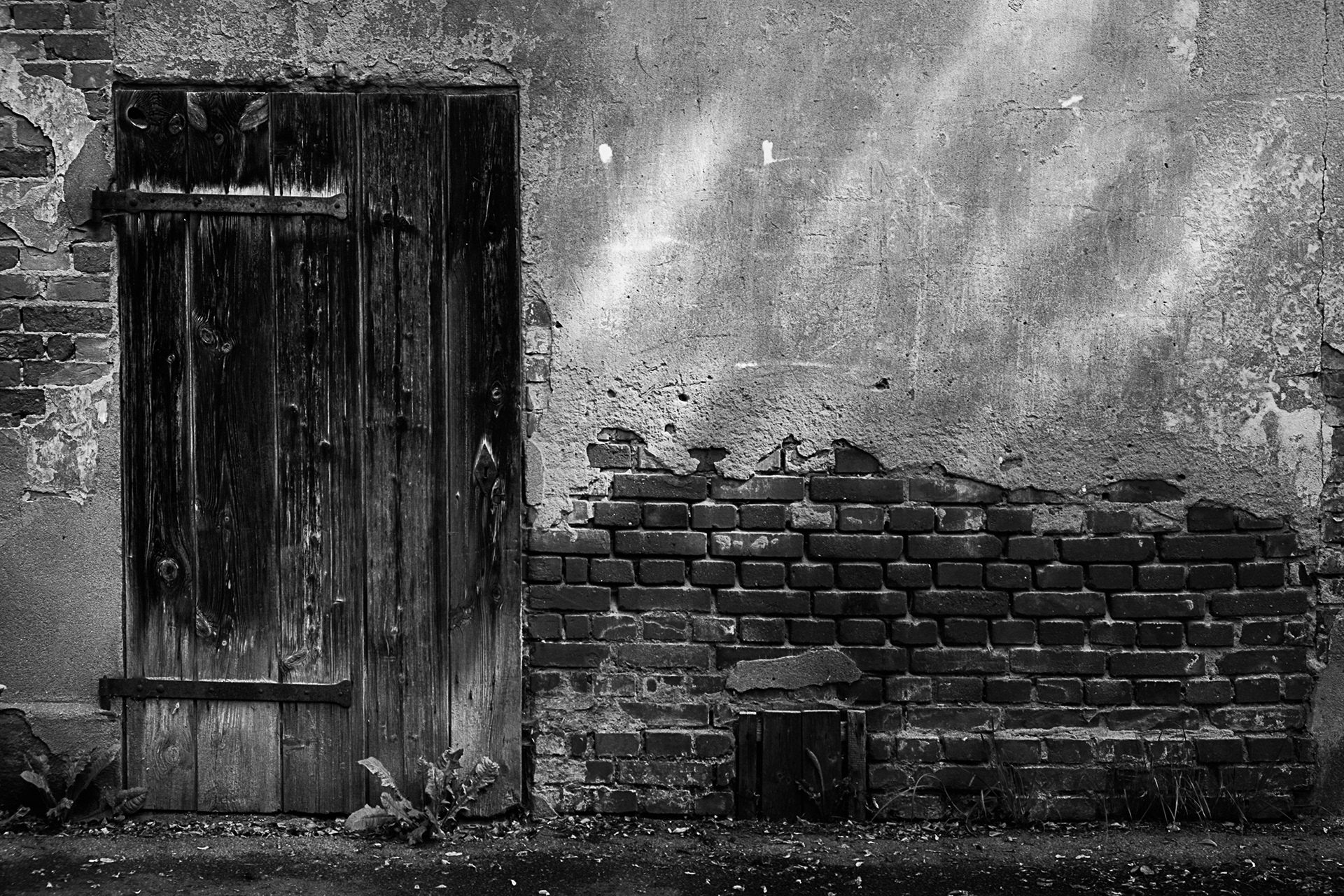 Rustic Door in Mono | 2019