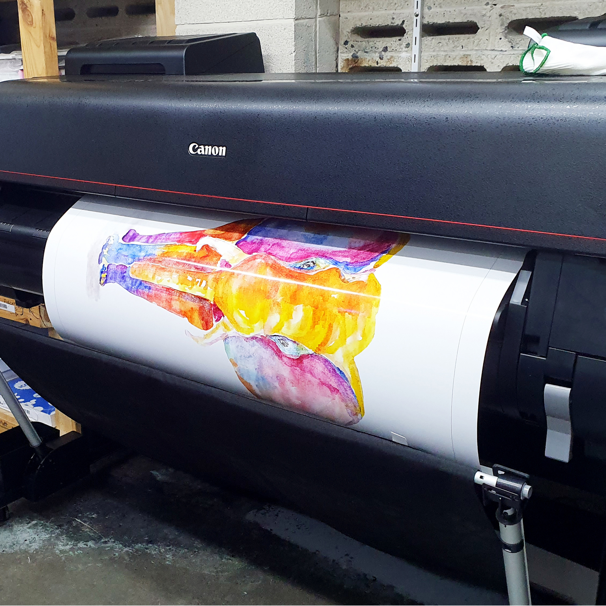 Ivory Print - Services