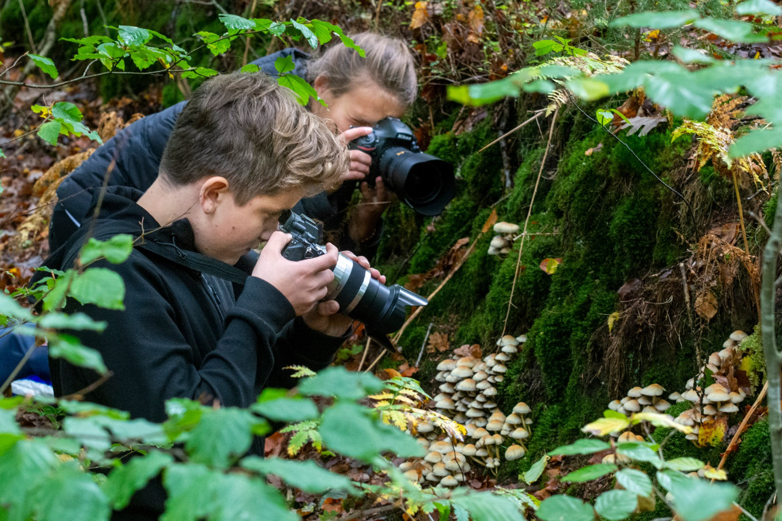 Jacques Tarnero Fotografie Fotokurse Fotoworkshops Fotoreisen Fotosafaris Fotonachbearbeitung Drohnenfotografie Und Video