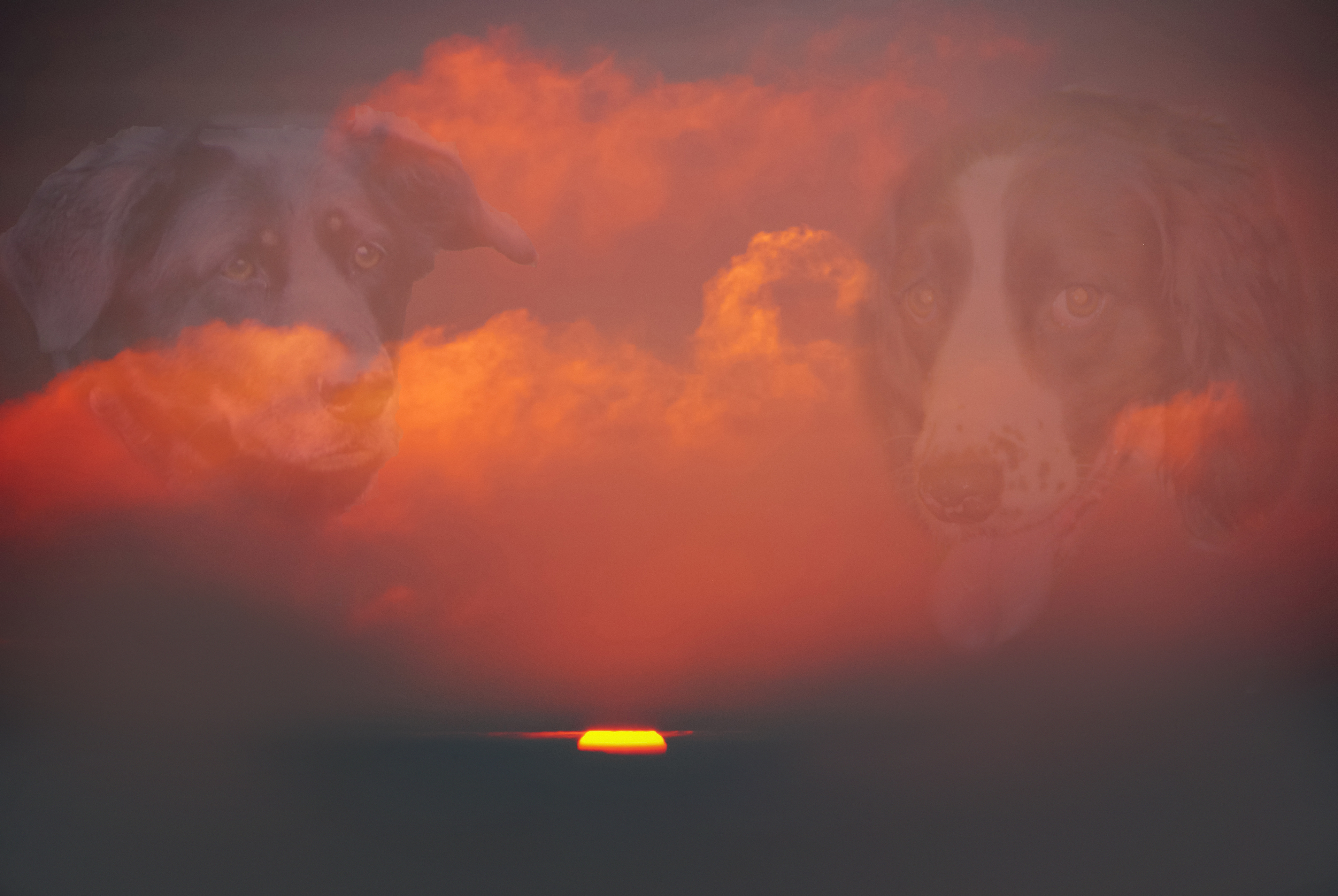 The Sunset of my children