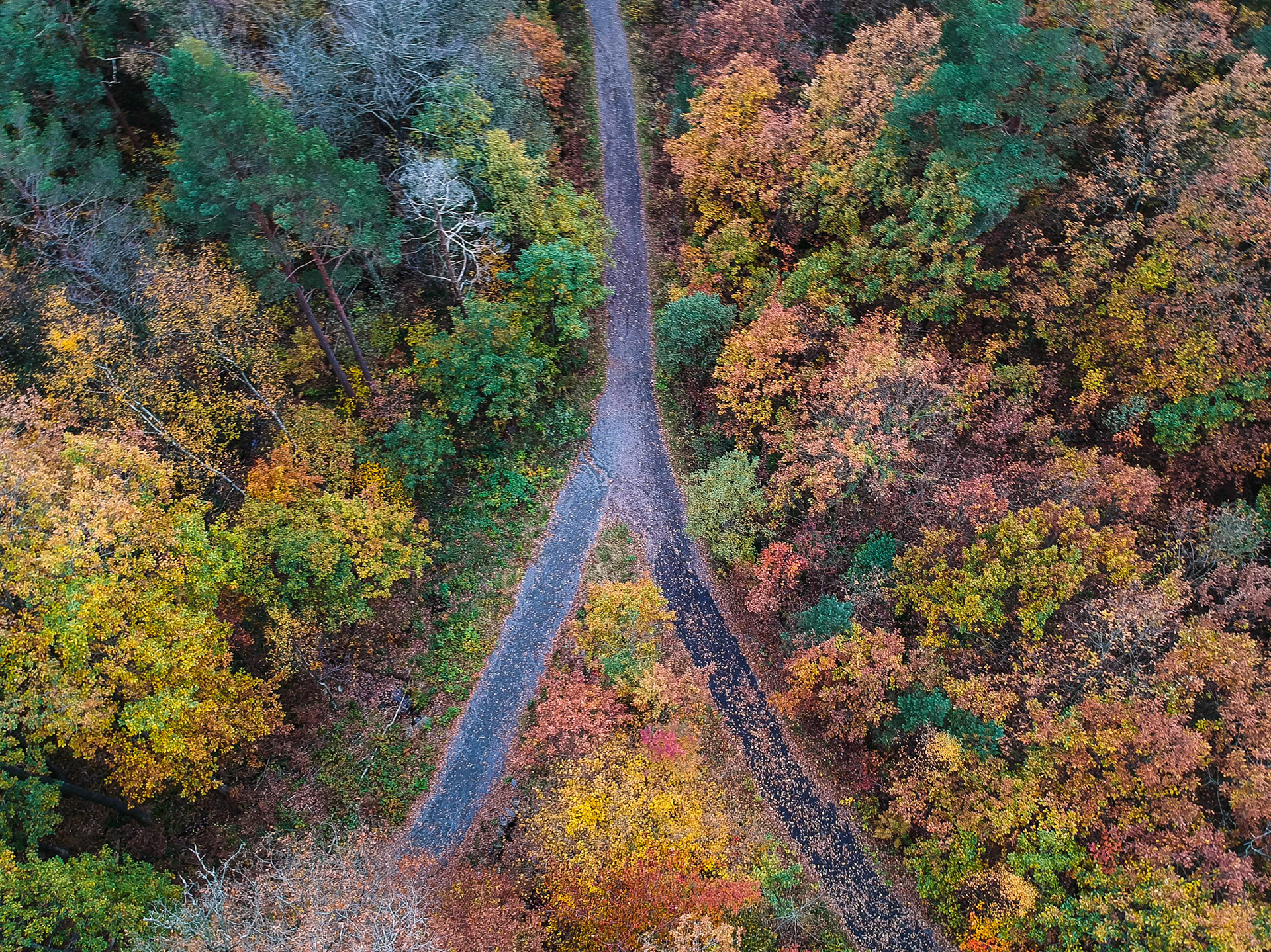 DCIM/100MEDIA/DJI_0068.JPG