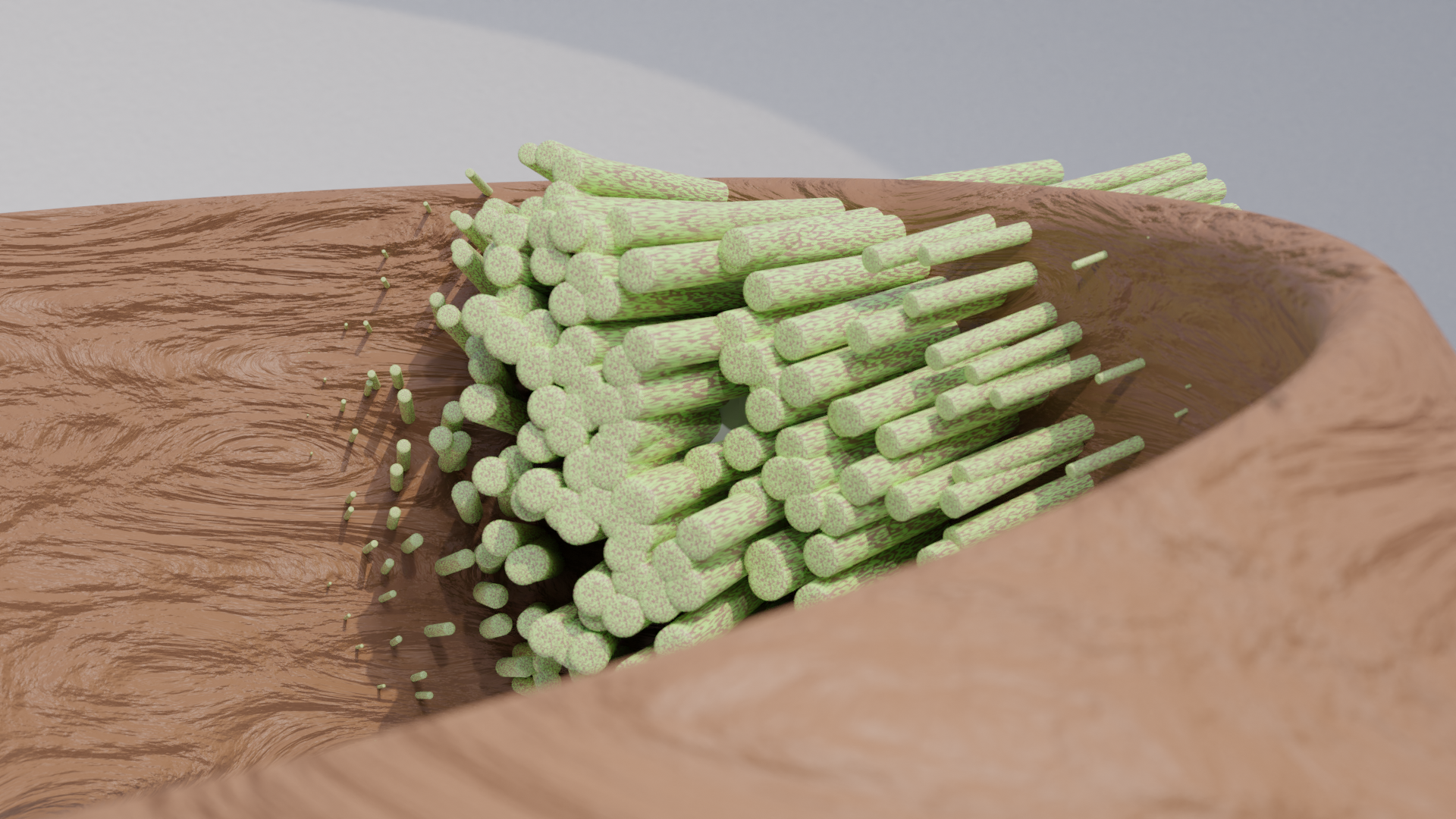 abstract plant