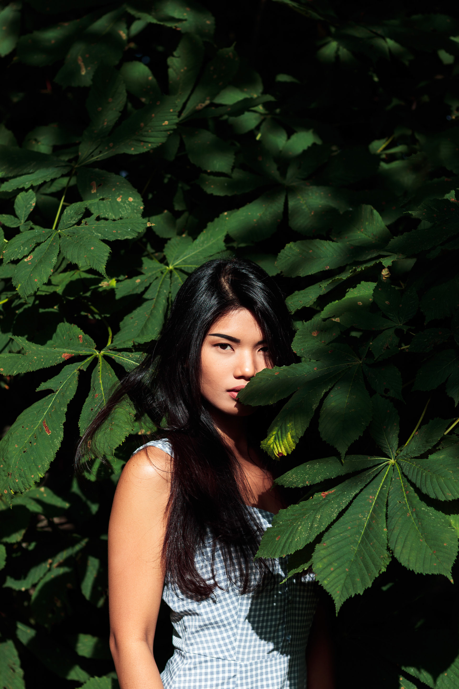 Astrid for BAME models