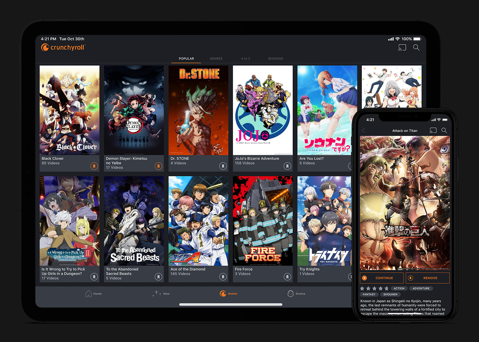 Crunchyroll Case Study