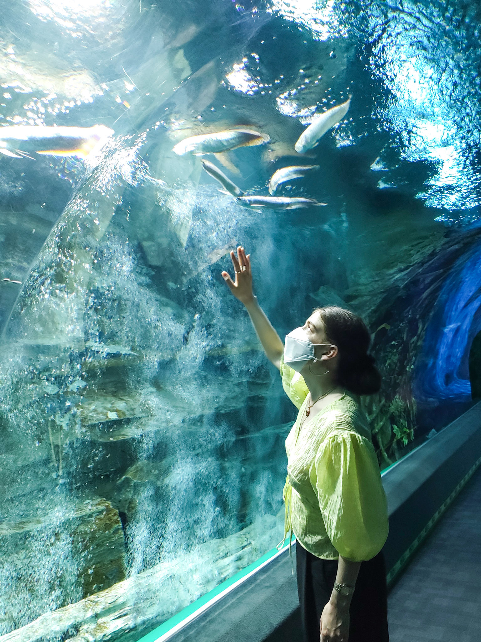 Lotte Aquarium