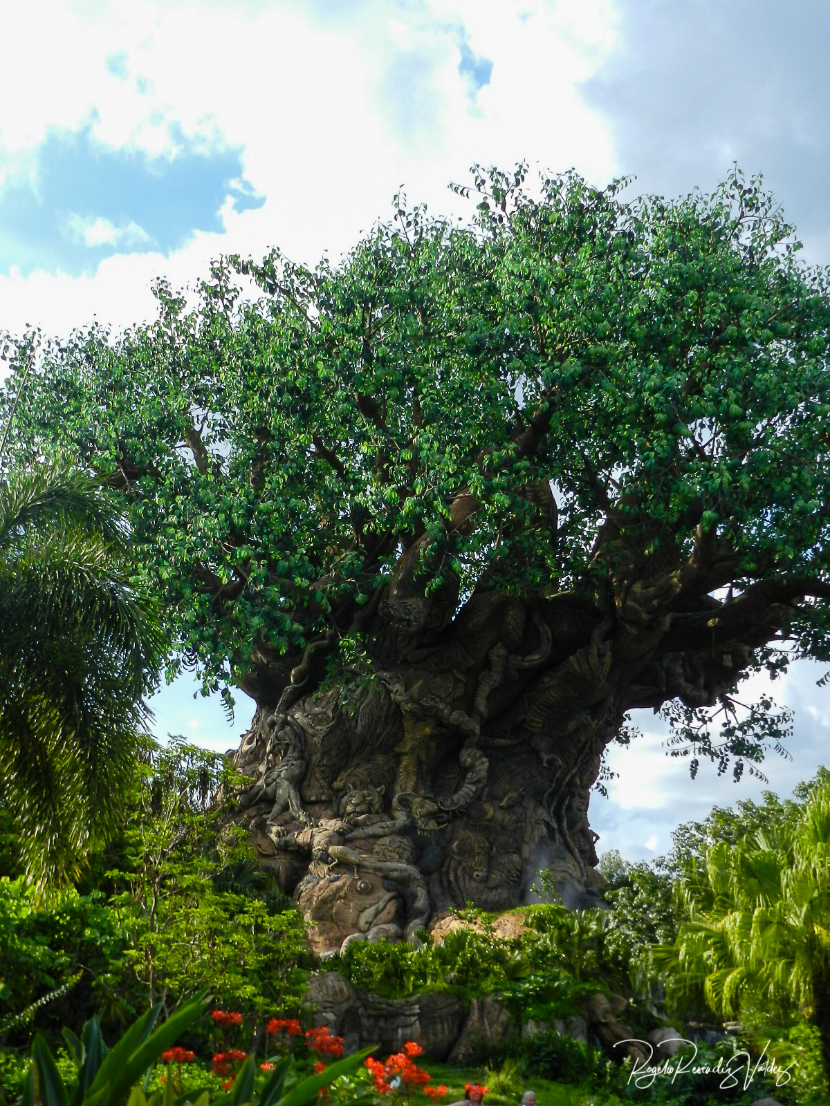 The Tree of Life - Orlando, Florida