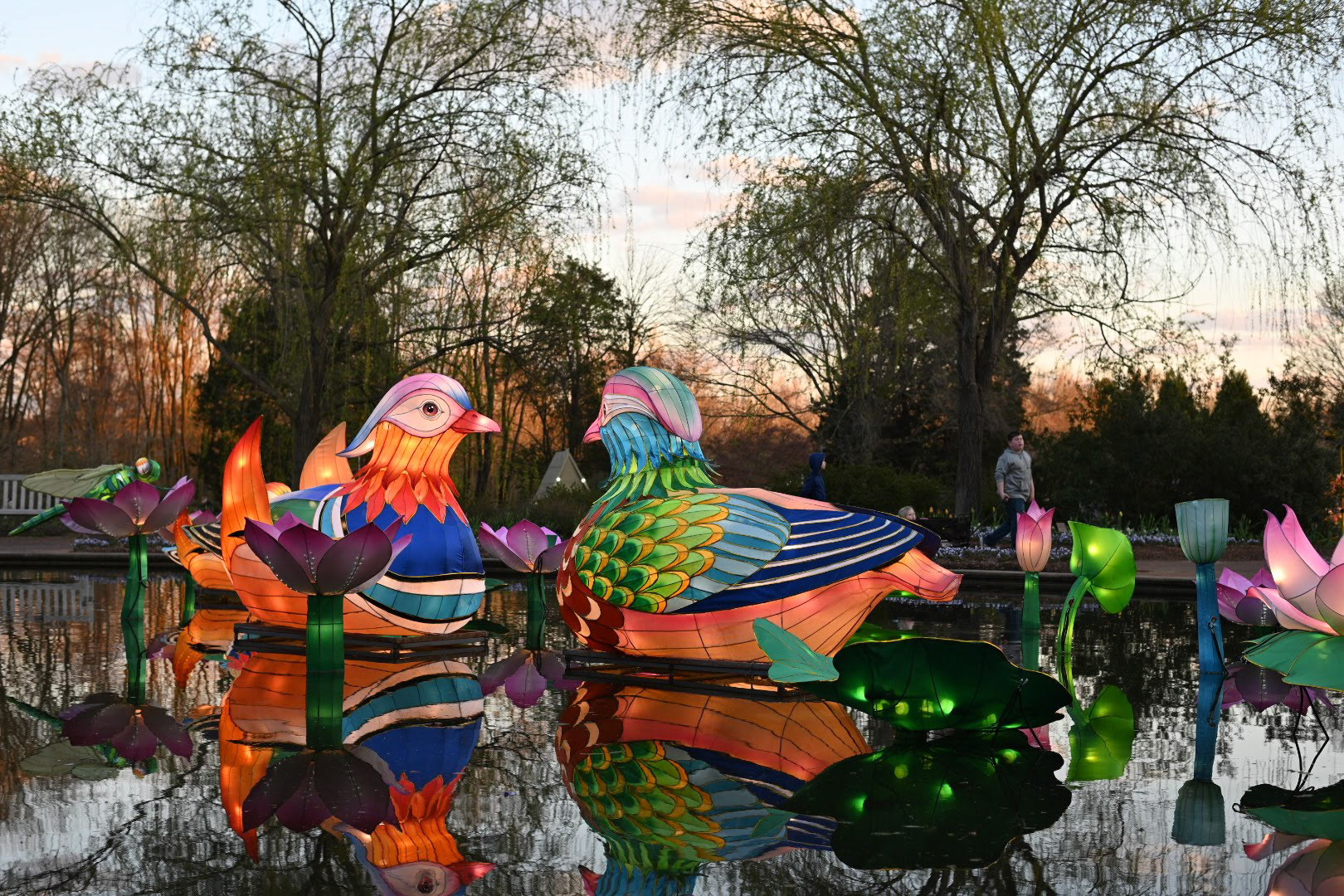 Chinese Lantern Festival - Birds