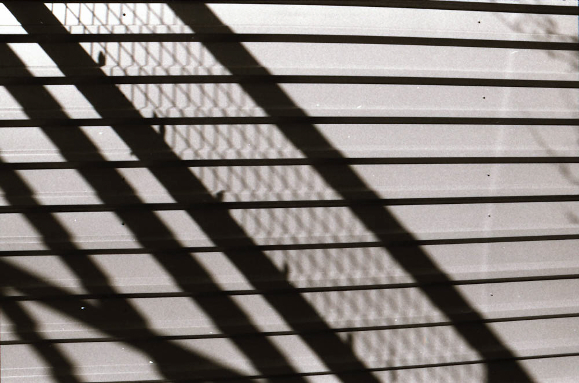 2020 35mm Film Photograph