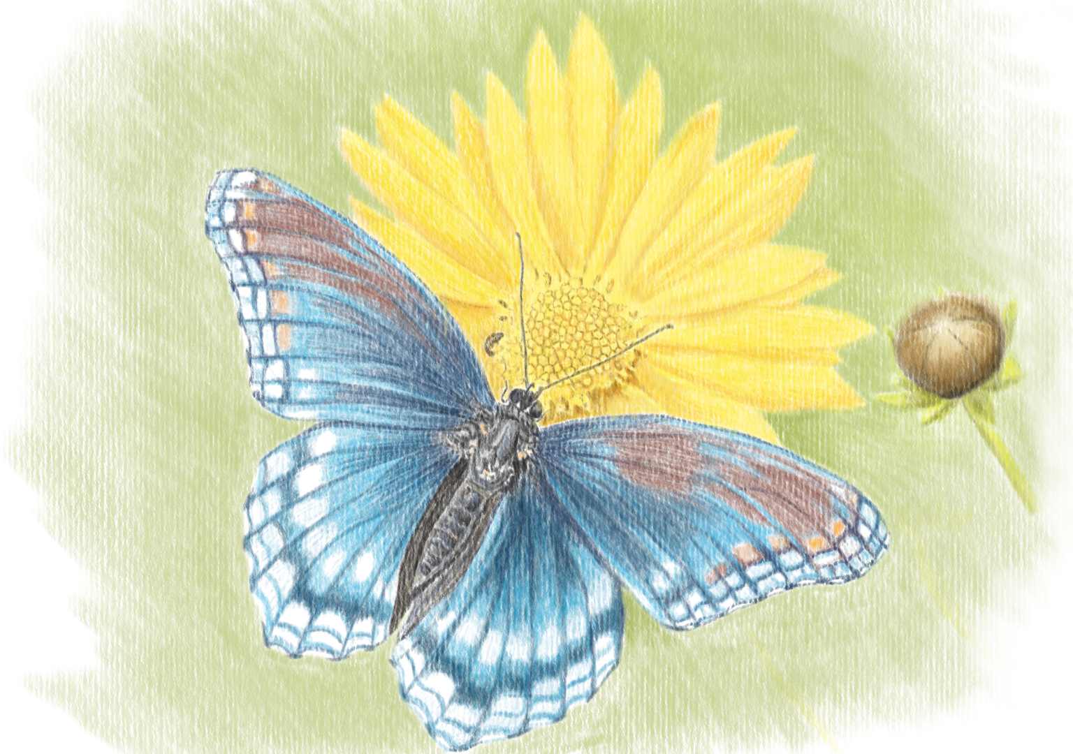 Pastels