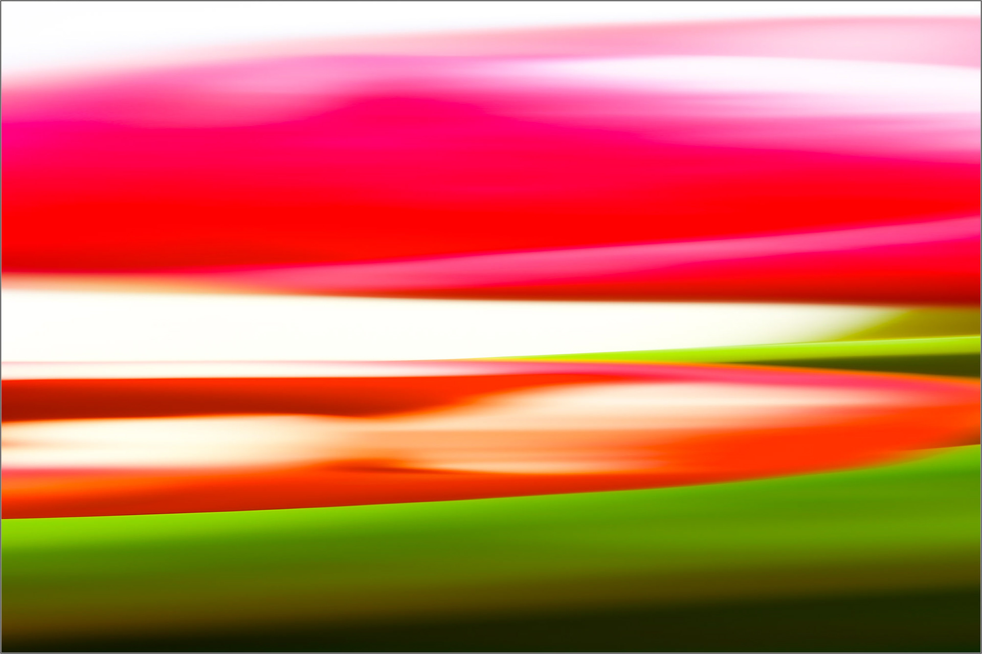 N° 6103-3 80 x 53 cm