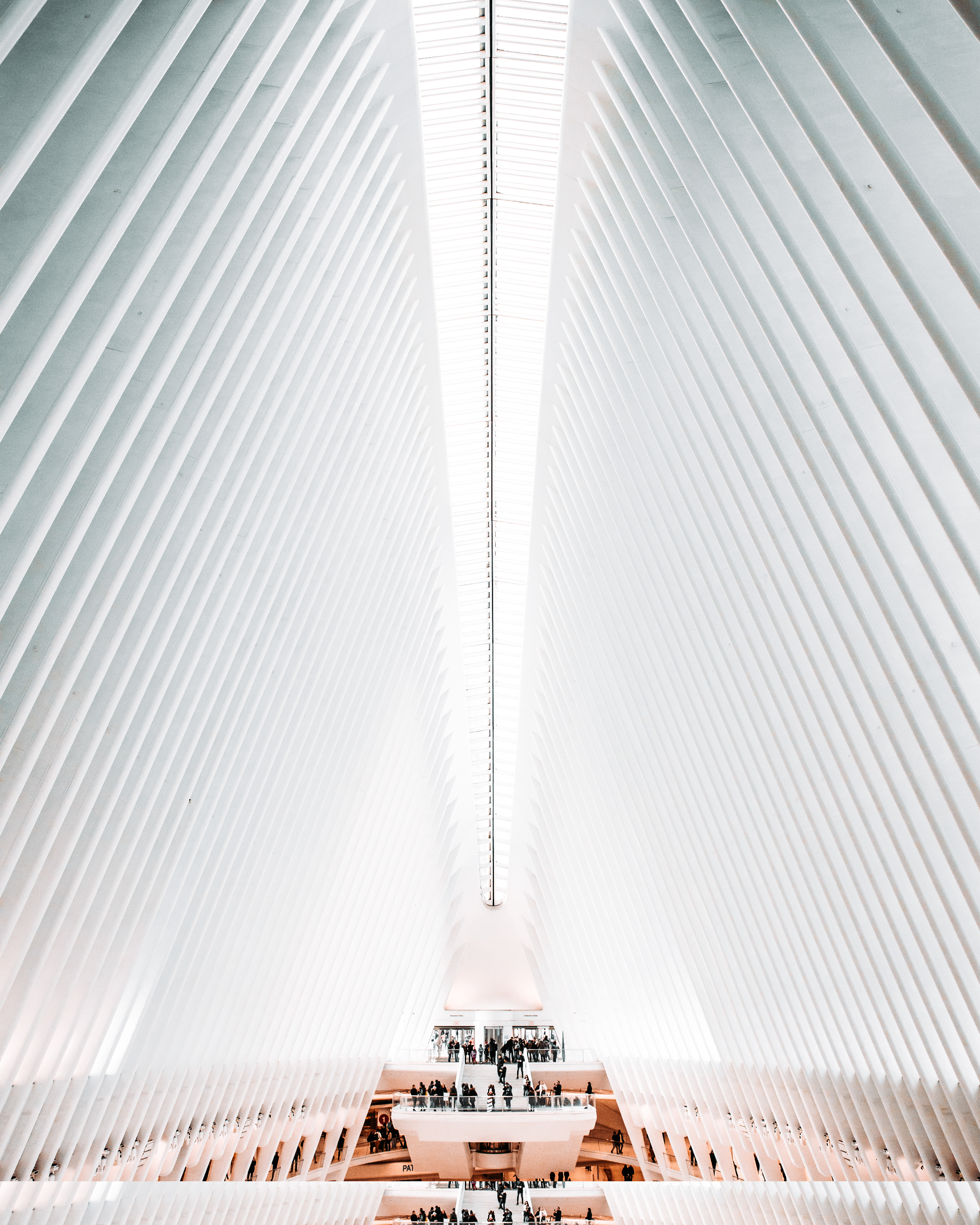 "The Oculus"
