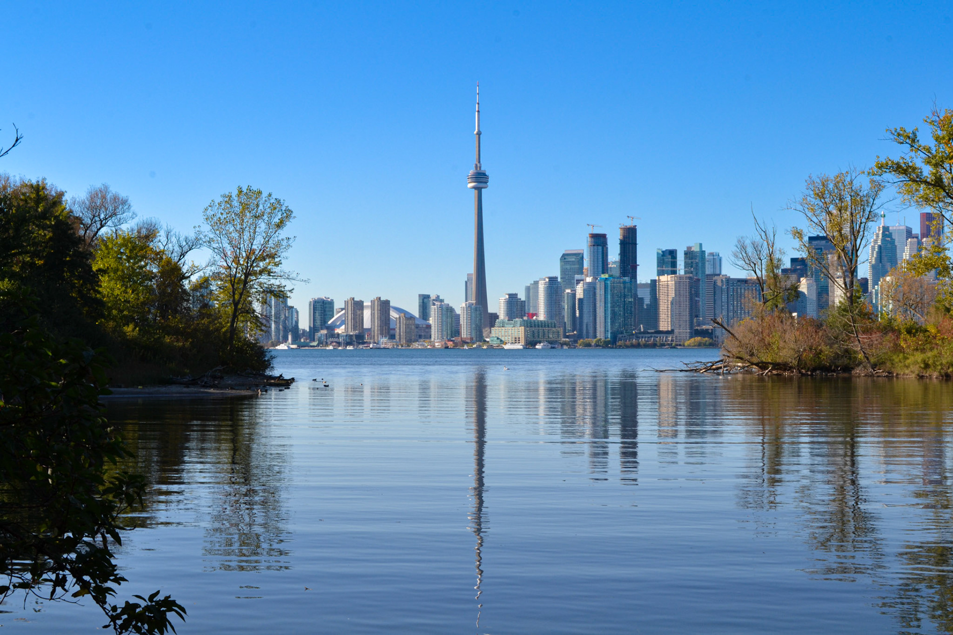 The Seex Symbol - South View, Toronto