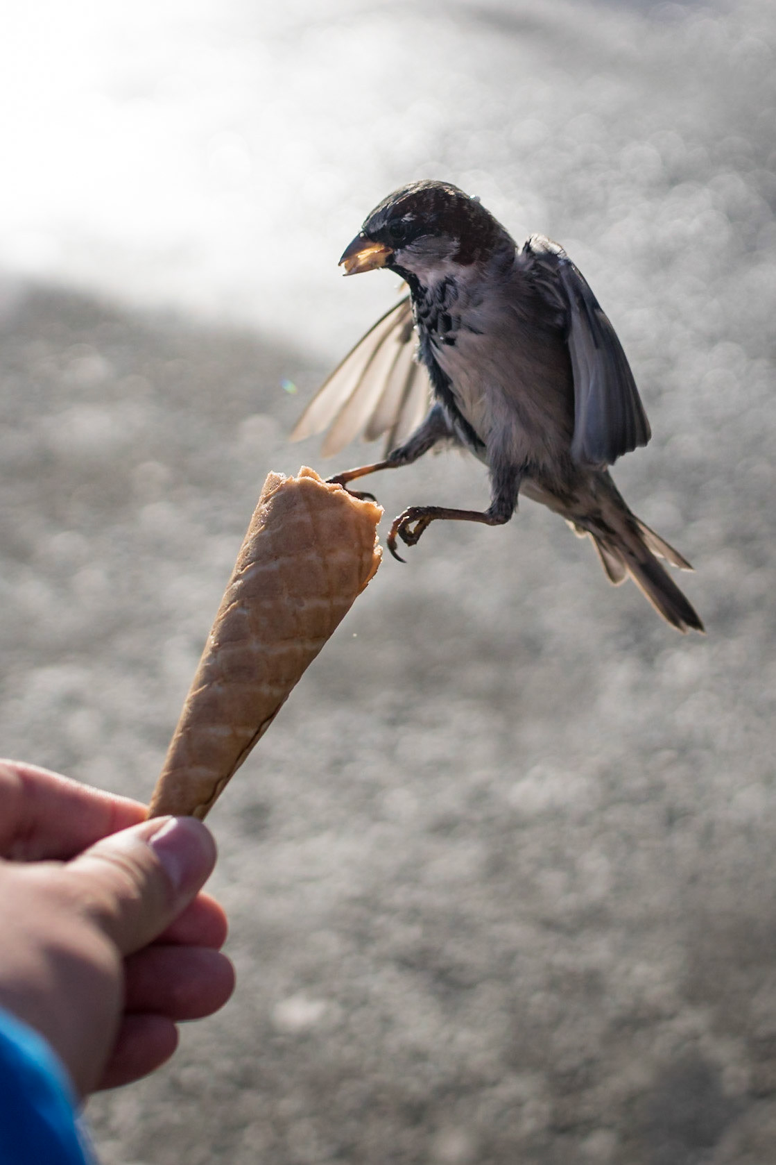 Sony ILCA-77M2 | DT 30mm F1.4 @ ISO 100 | 30 mm | f/2.5 | 1/4000 s