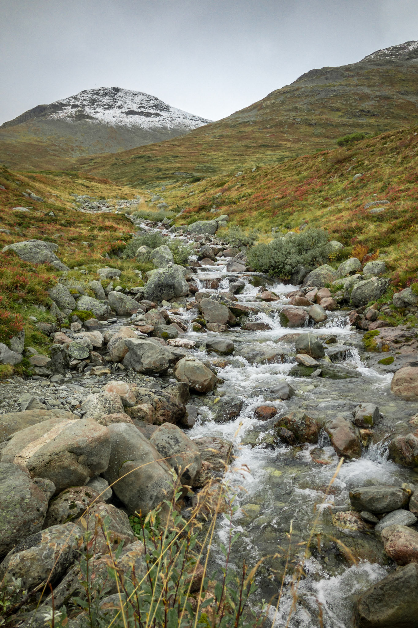 Apple iPhone 8 @ ISO 20 | 3.99 mm | f/1.8 | 1/2000 s