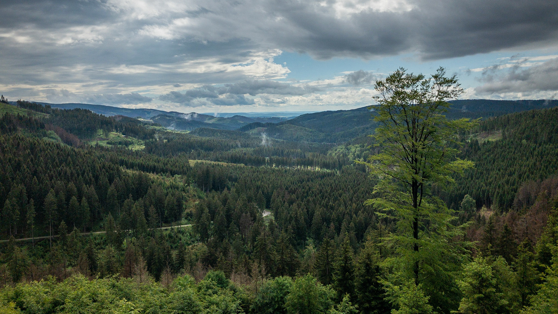 Blick Richtung Osterode am Morgenbrodstaler Graben