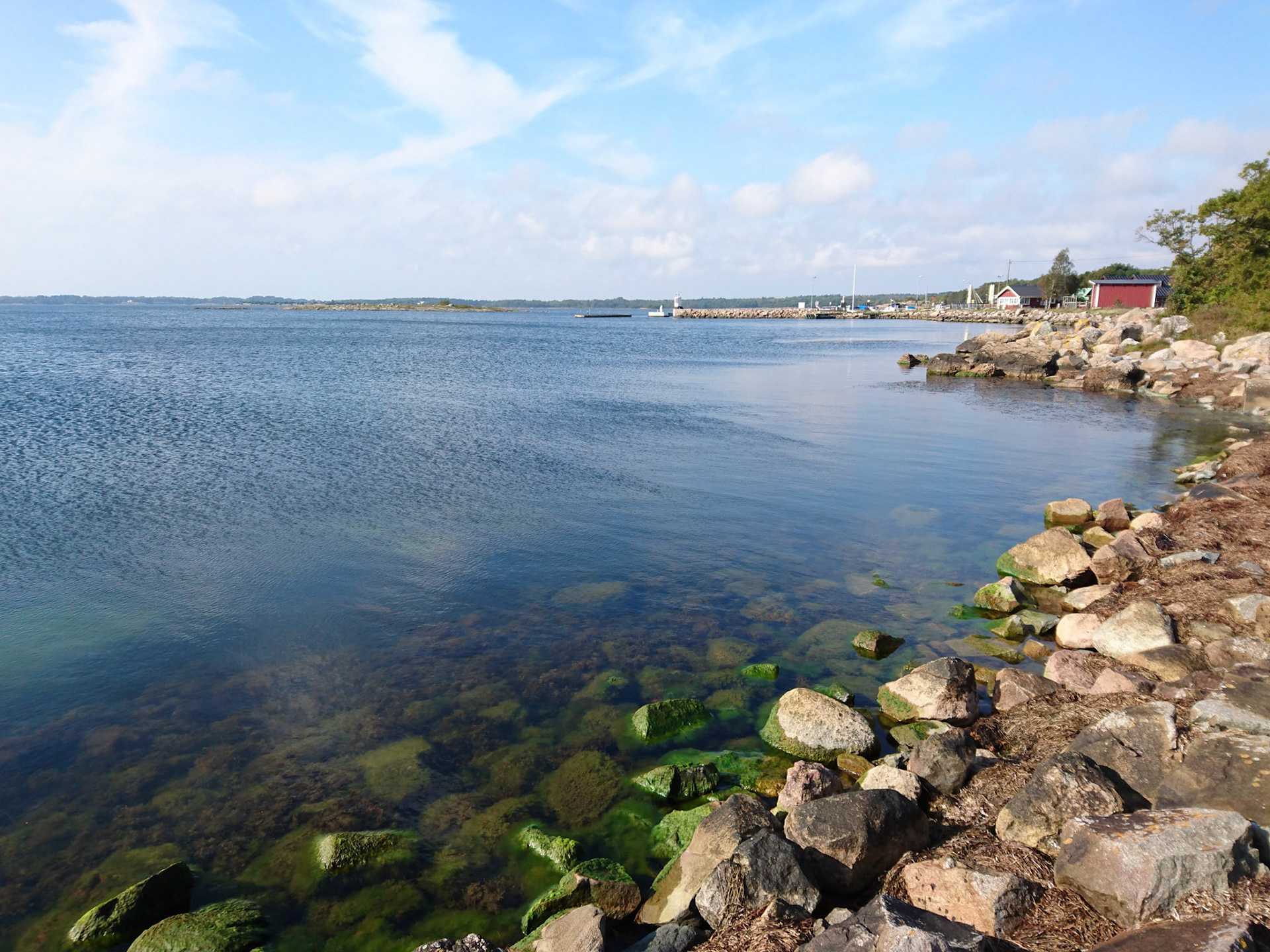 ISO 40 | 4.23 mm | f/2 | 1/1000 s