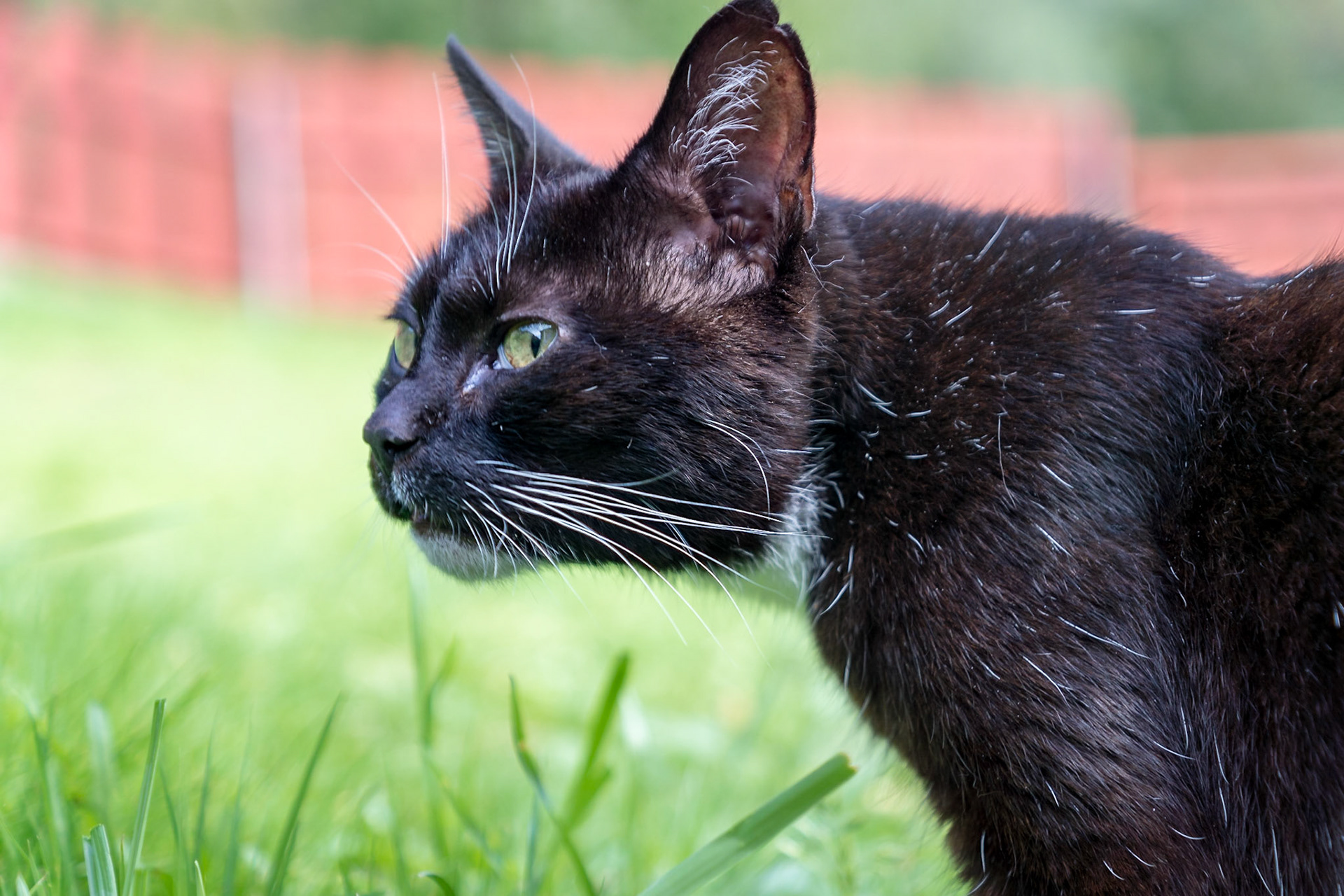 Sony ILCA-77M2 | DT 16-50mm F2.8 SSM @ ISO 100 | 50 mm | f/2.8 | 1/100 s