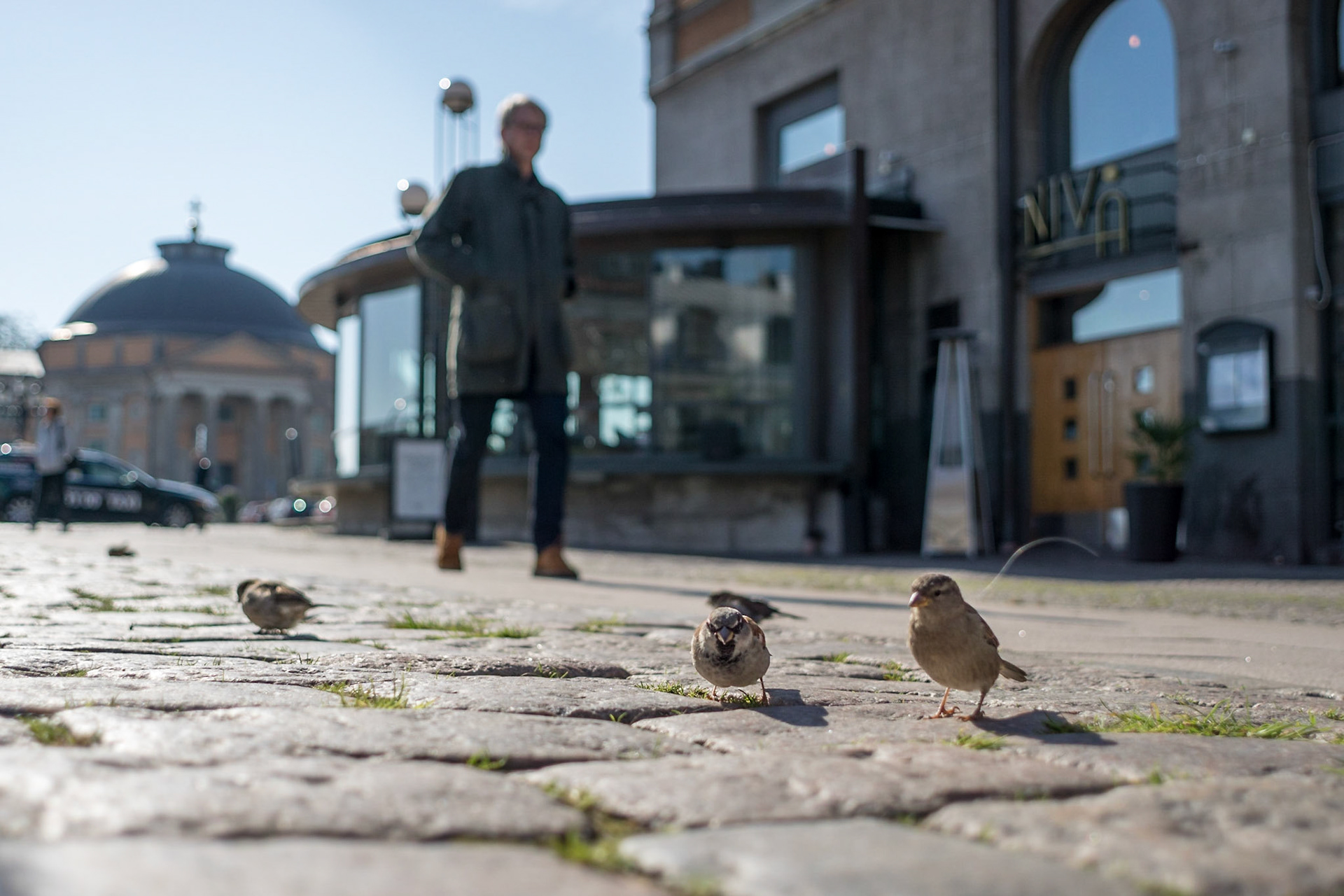 ISO 100 | 24 mm | f/3.2 | 1/2000 s