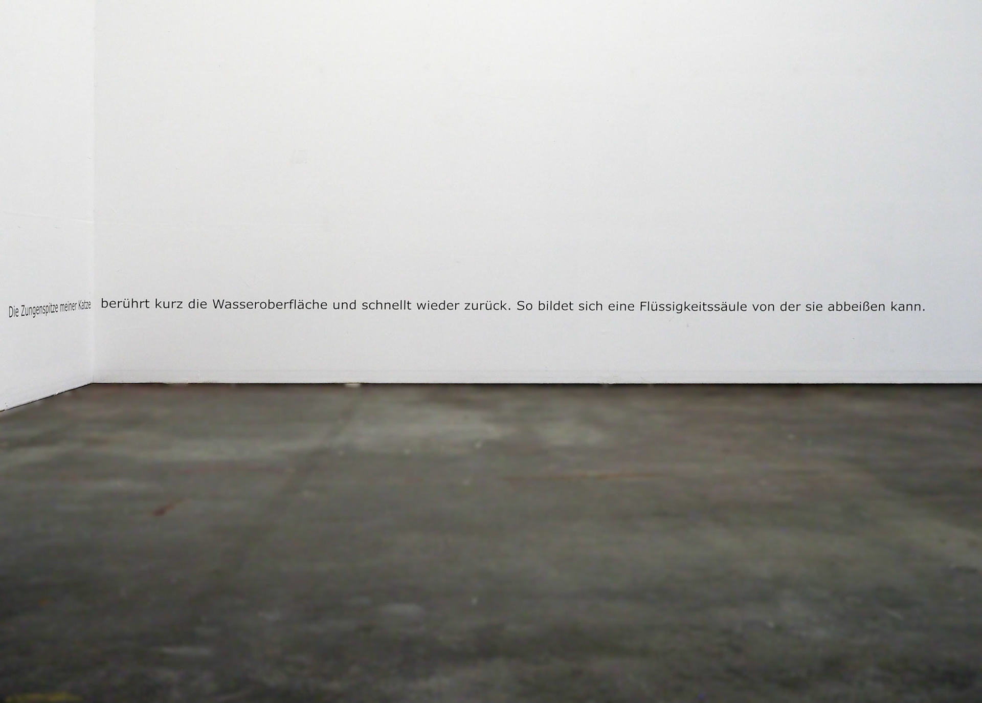 meine Katze | 2020 | Folienplot auf Wand | 385 x 35 cm