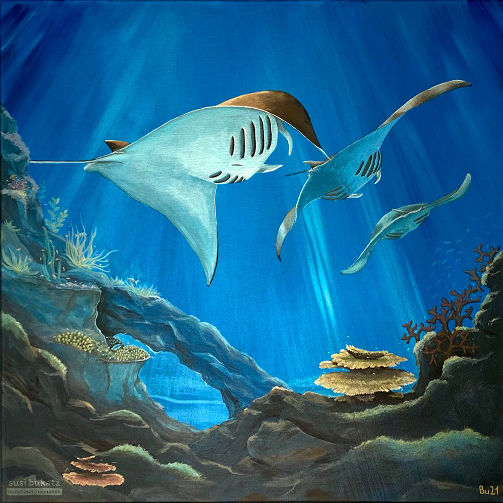 »Drei Mantas im Flug«, 80 x 80 cm