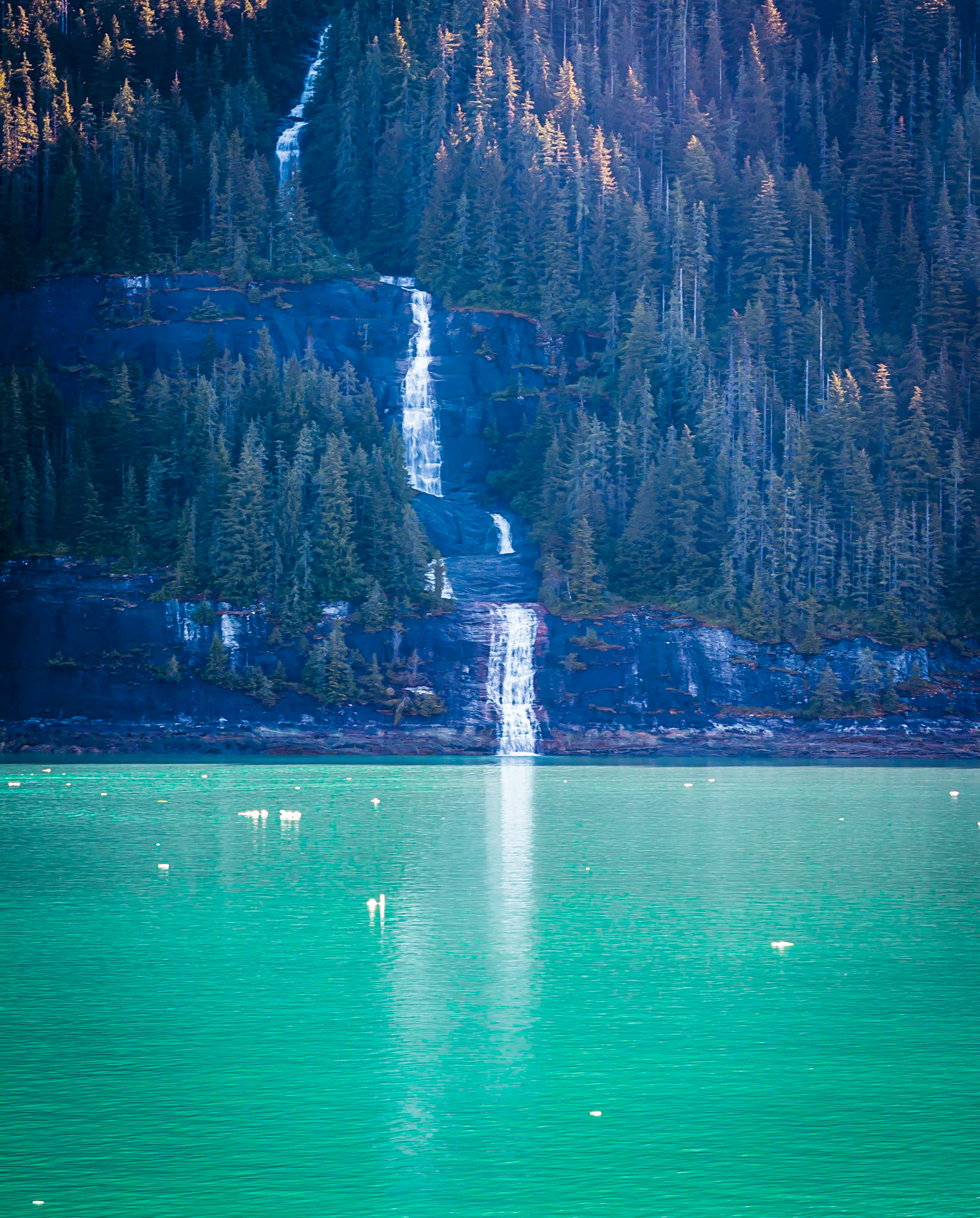Endicott Arm Waterfall from the Celebrity Millennium
