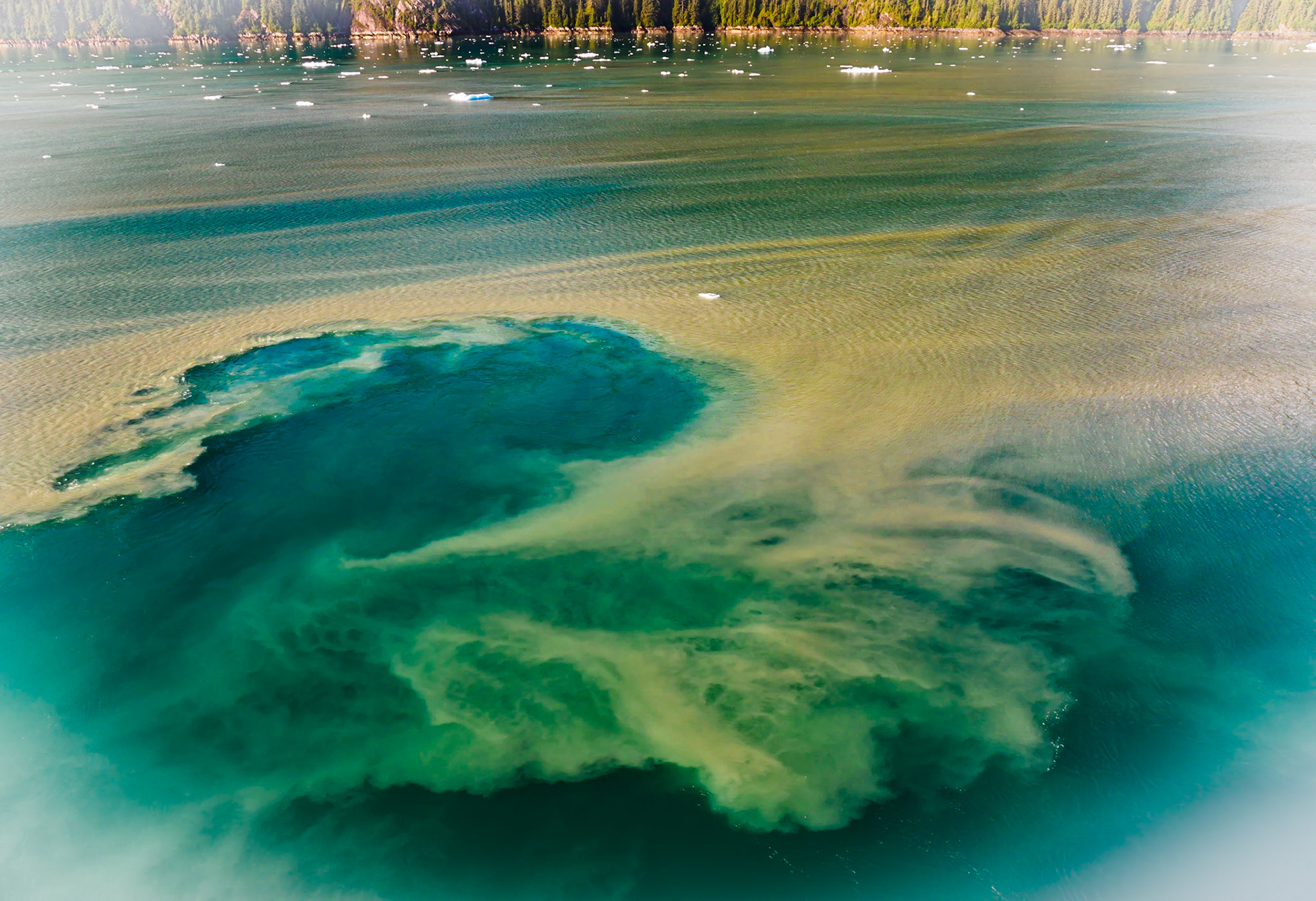 Dawes Glacier Debris from the Celebrity Millennium
