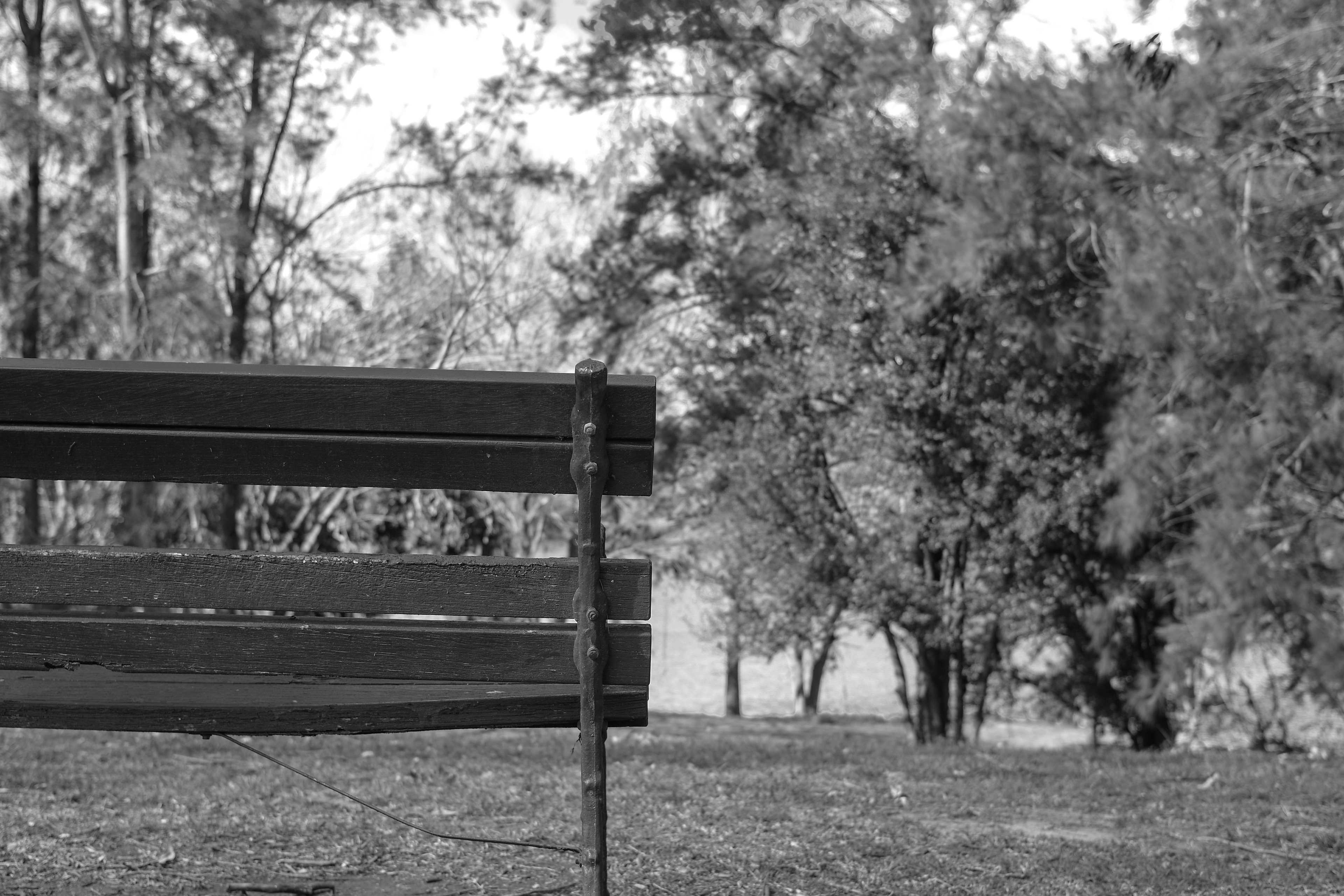 Hannah Park, North Richmond
