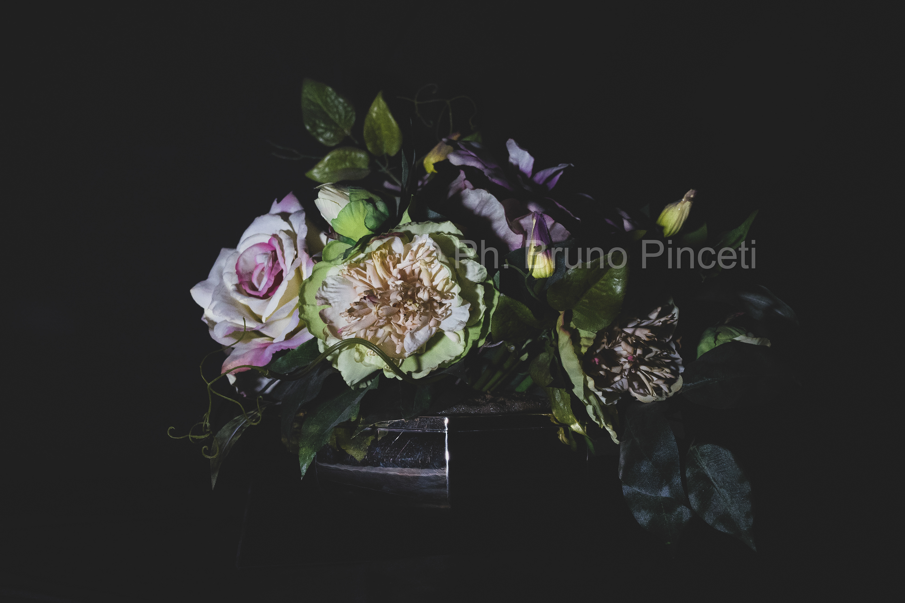 Still Life